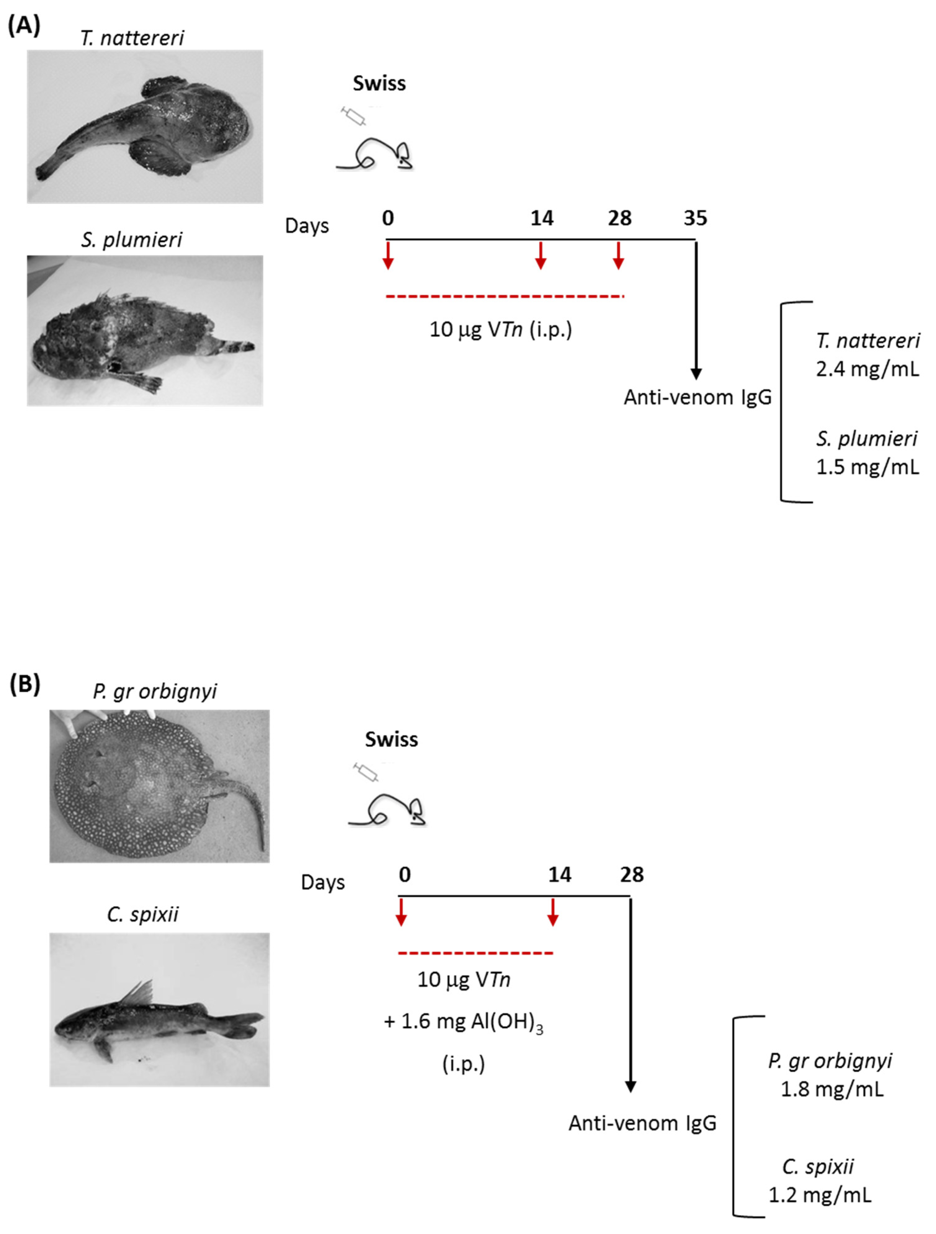 Ijms 24 08338 g001 Ijms 24 08338 g001