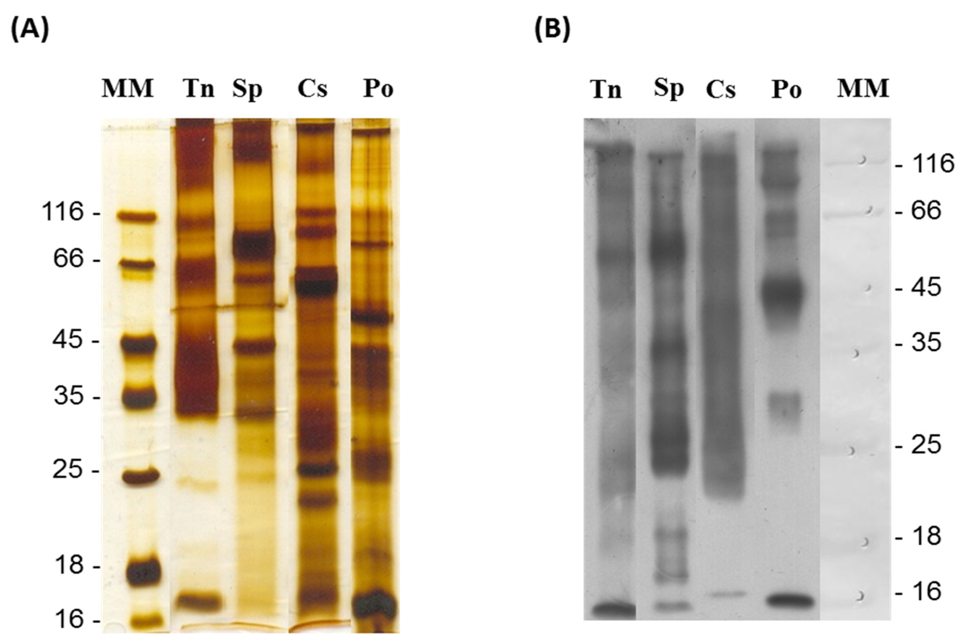 Ijms 24 08338 g002 Ijms 24 08338 g002