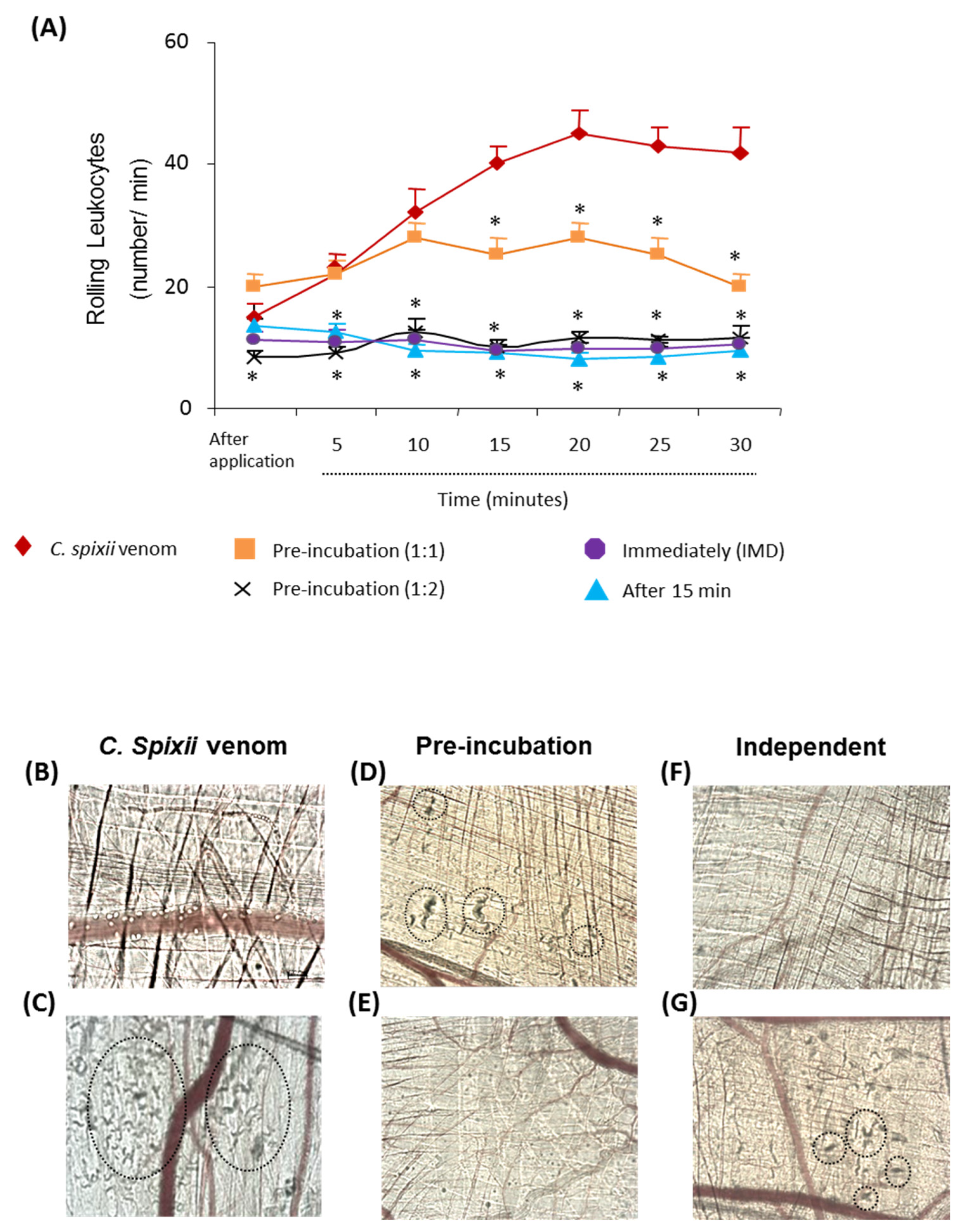Ijms 24 08338 g004 Ijms 24 08338 g004
