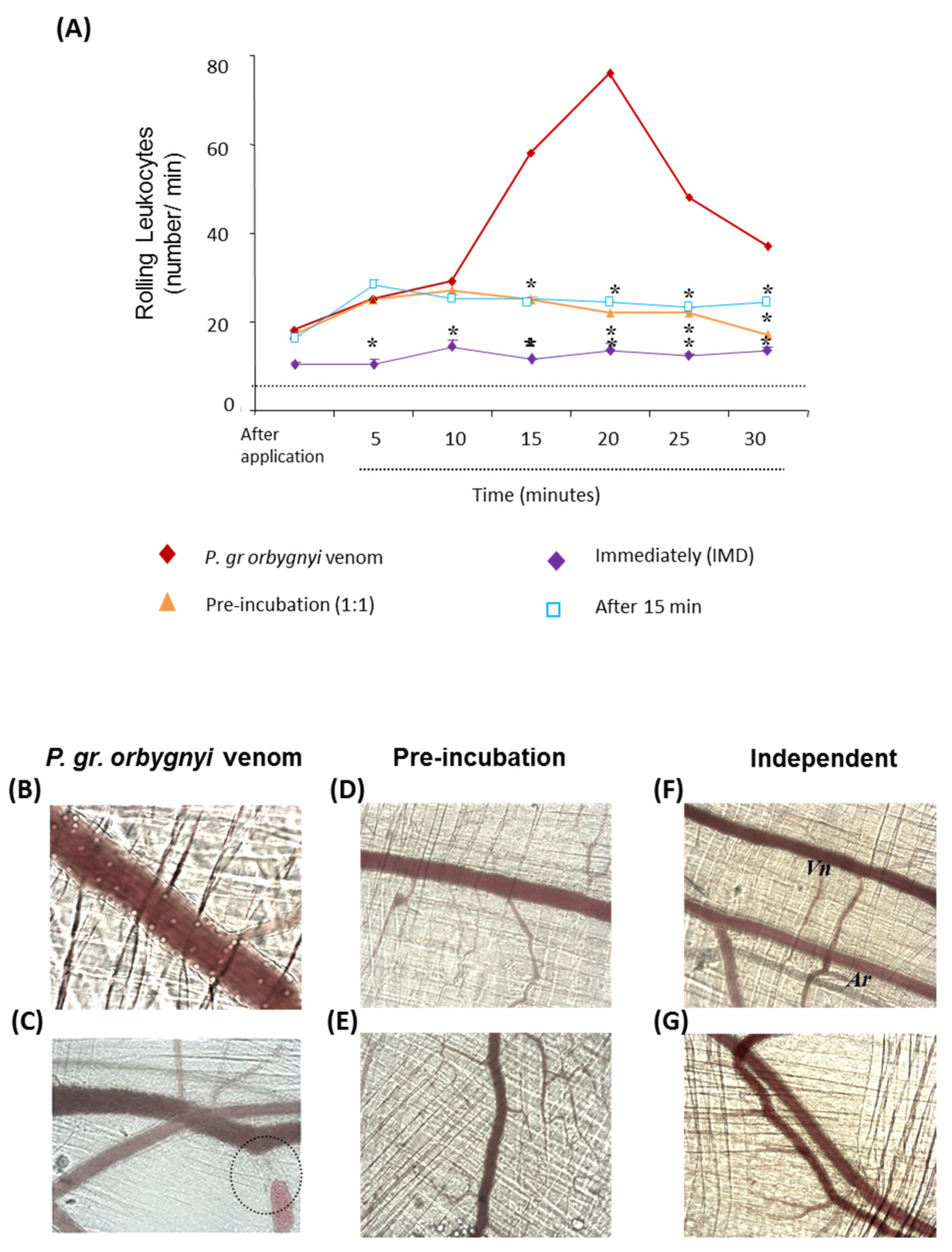 Ijms 24 08338 g005 Ijms 24 08338 g005