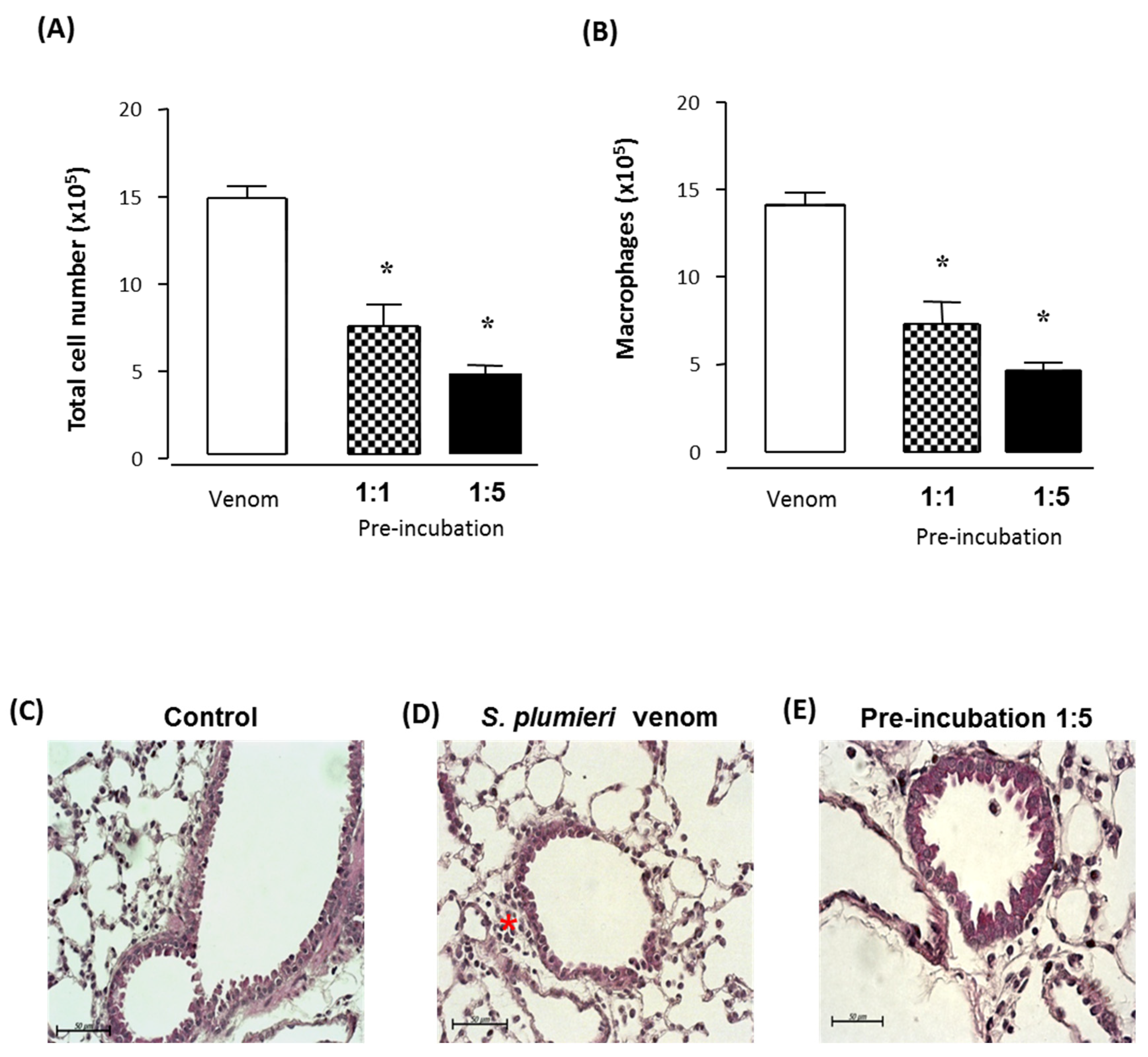 Ijms 24 08338 g008 Ijms 24 08338 g008