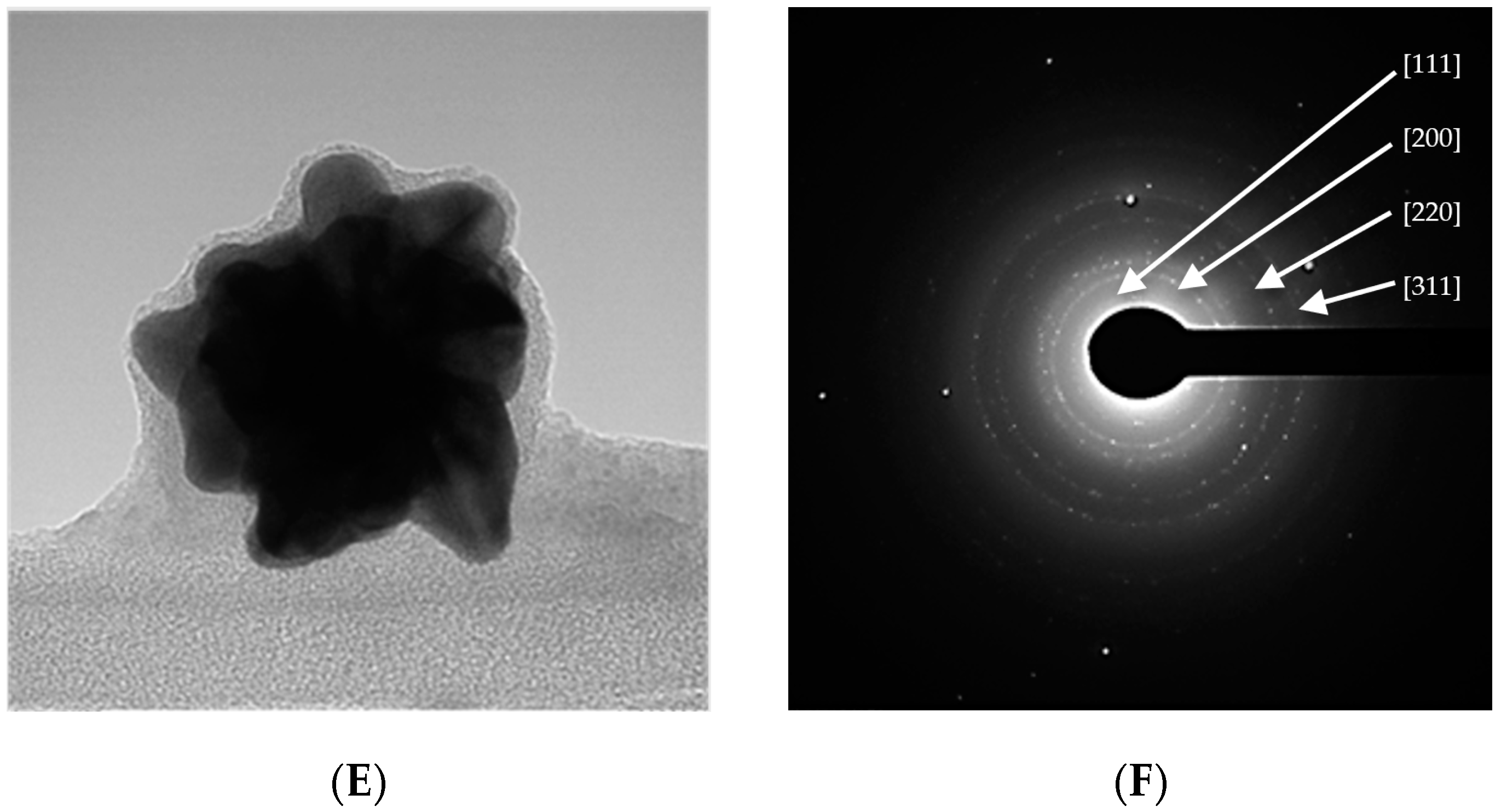 Ijms 24 08339 g001b Ijms 24 08339 g001b