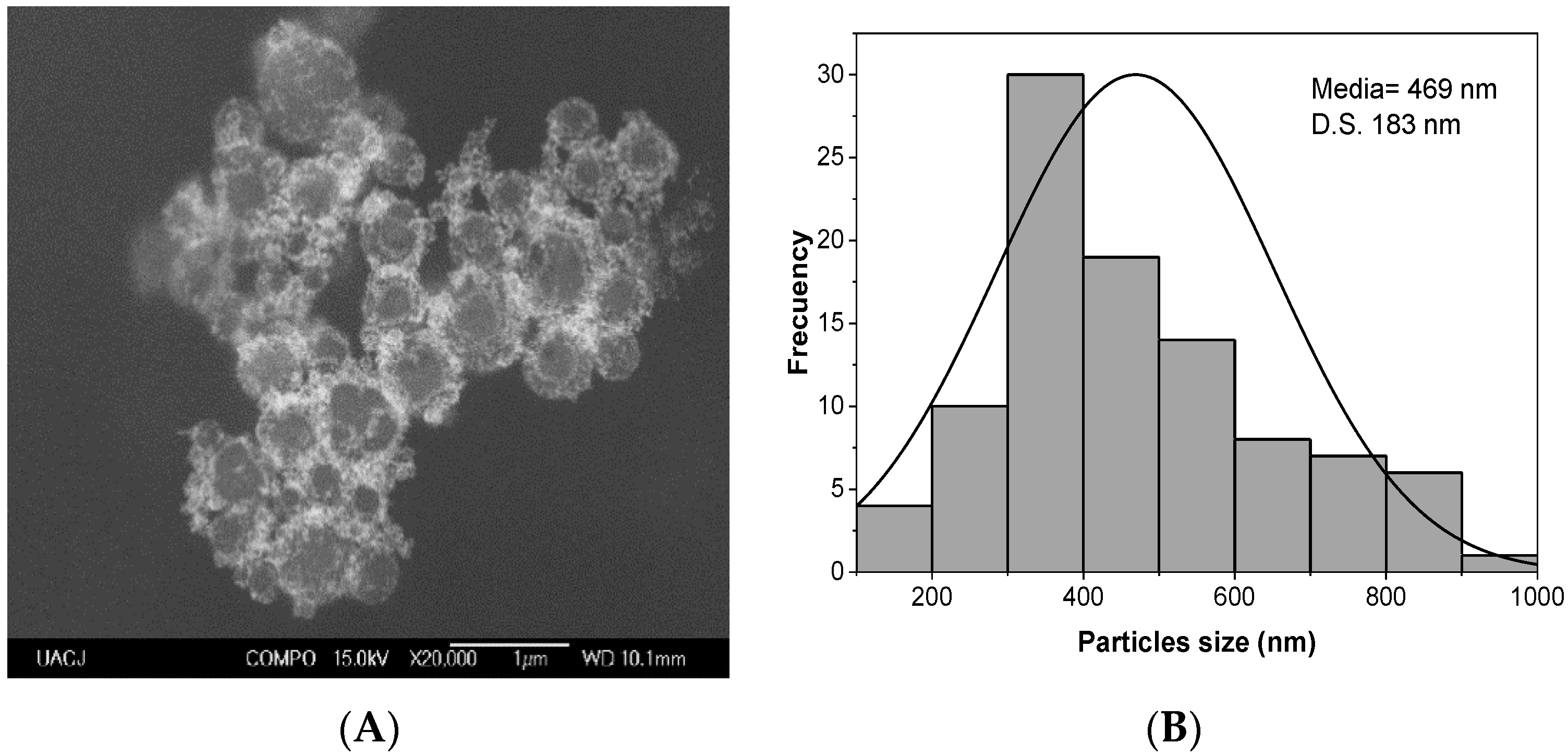 Ijms 24 08339 g002 Ijms 24 08339 g002