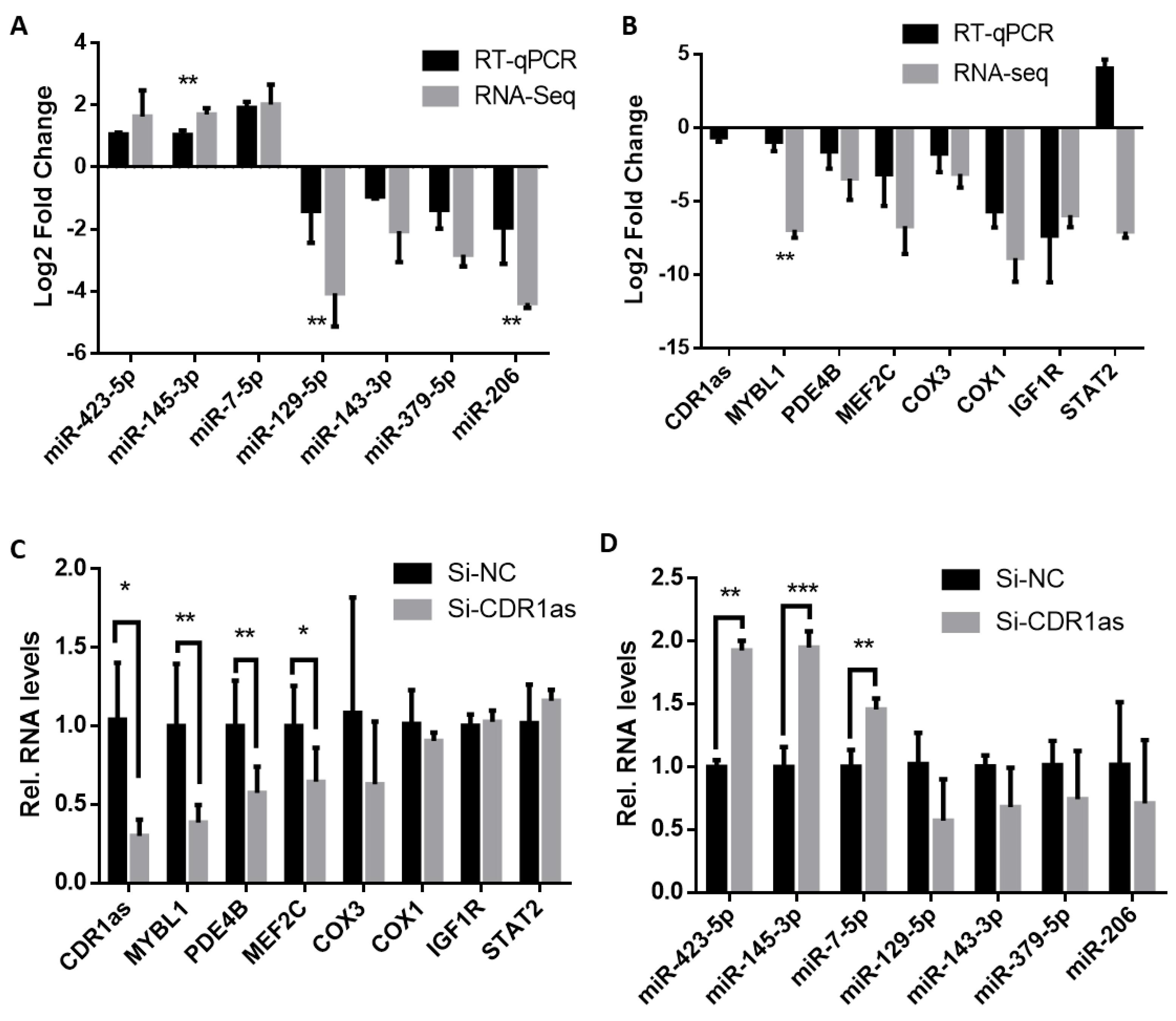Ijms 24 08341 g001 Ijms 24 08341 g001