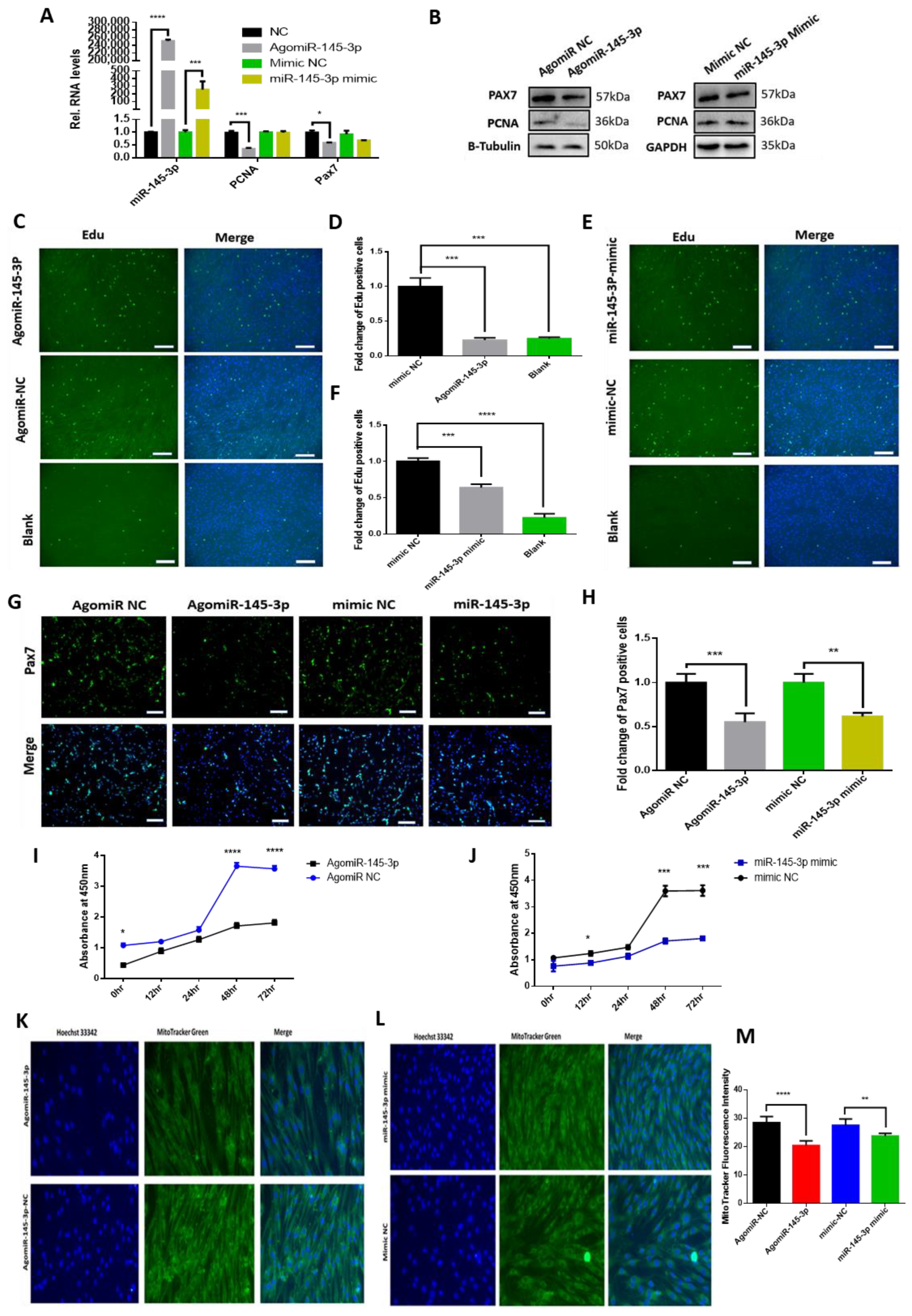 Ijms 24 08341 g003 Ijms 24 08341 g003