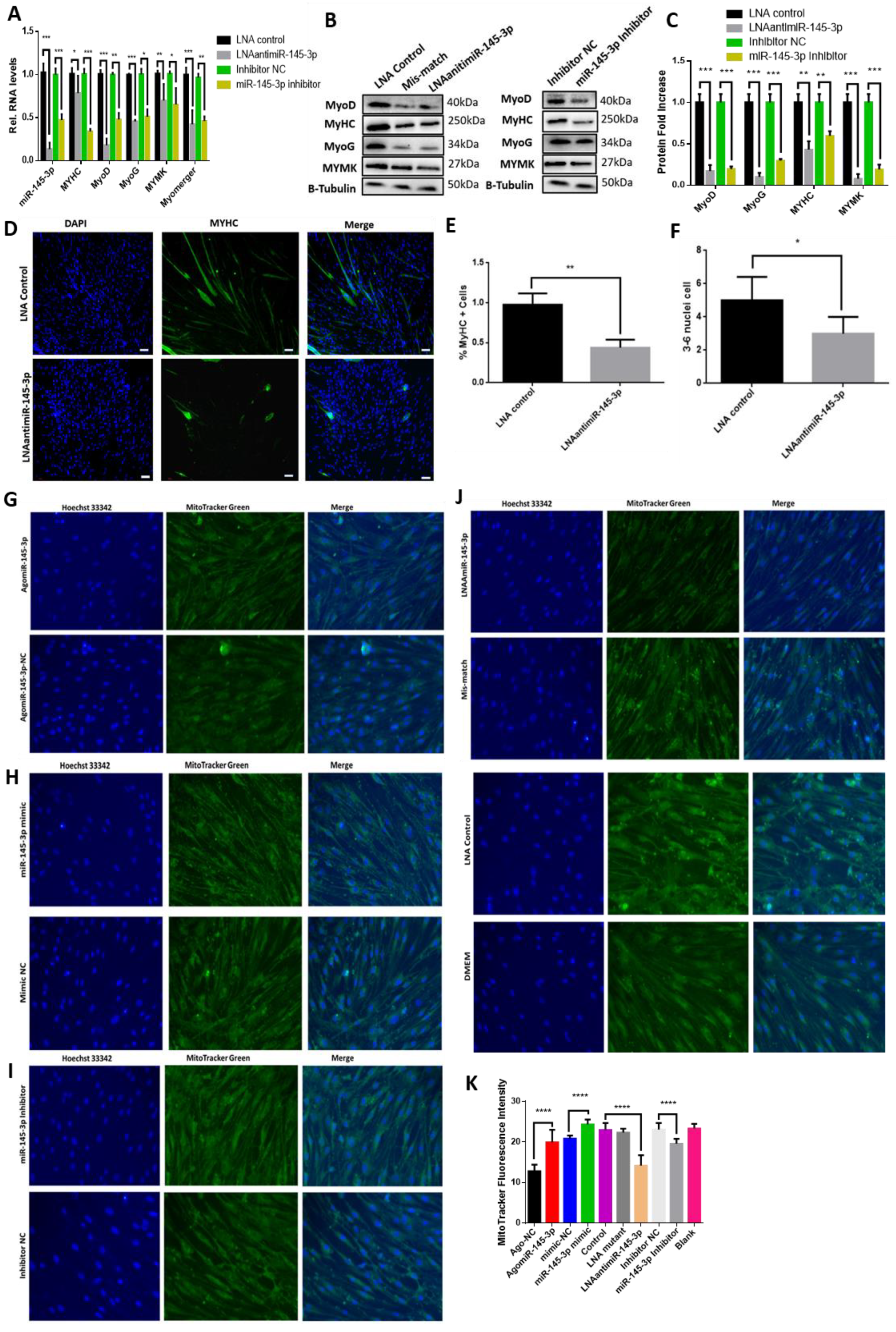 Ijms 24 08341 g004 Ijms 24 08341 g004