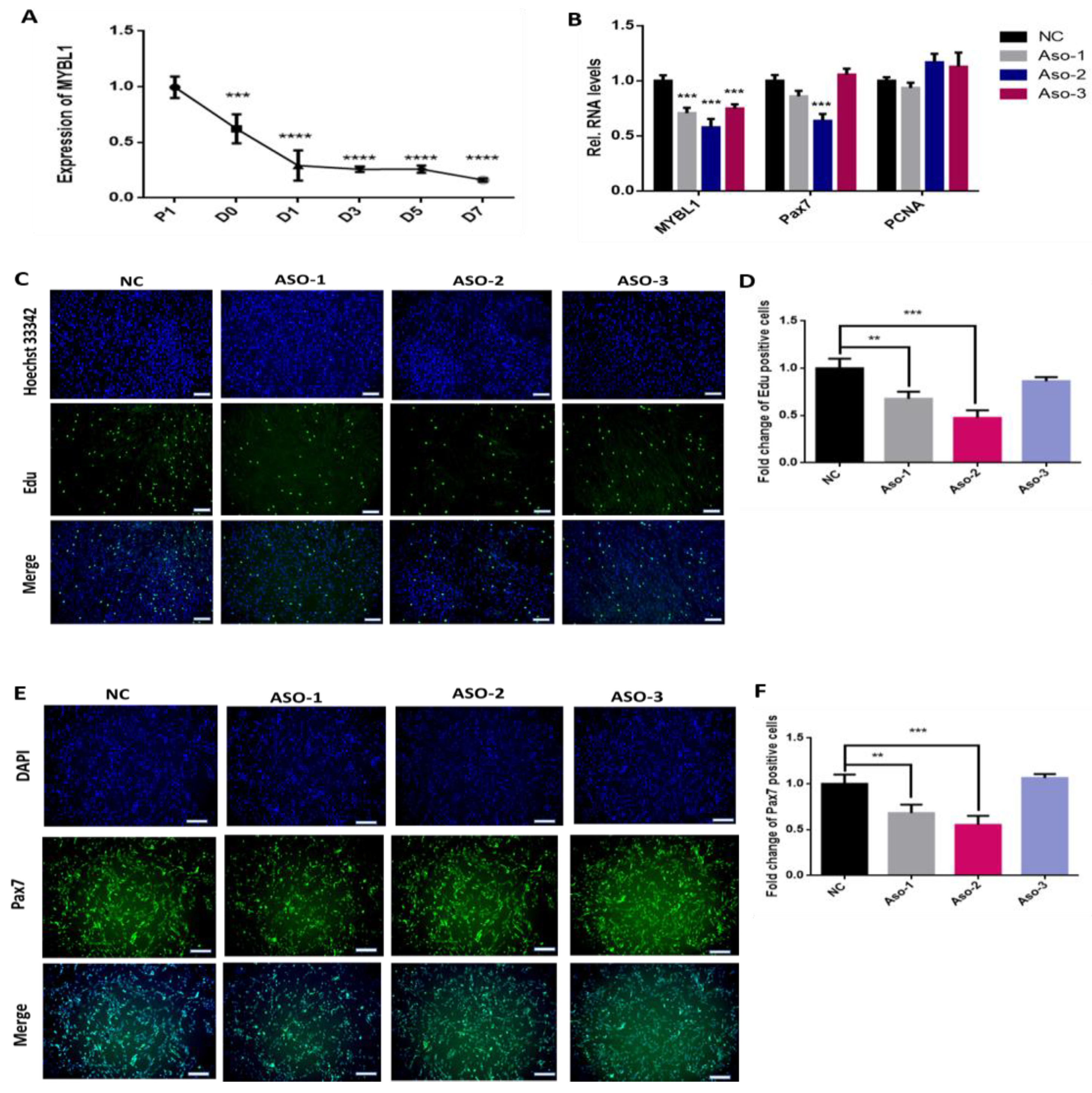 Ijms 24 08341 g005 Ijms 24 08341 g005