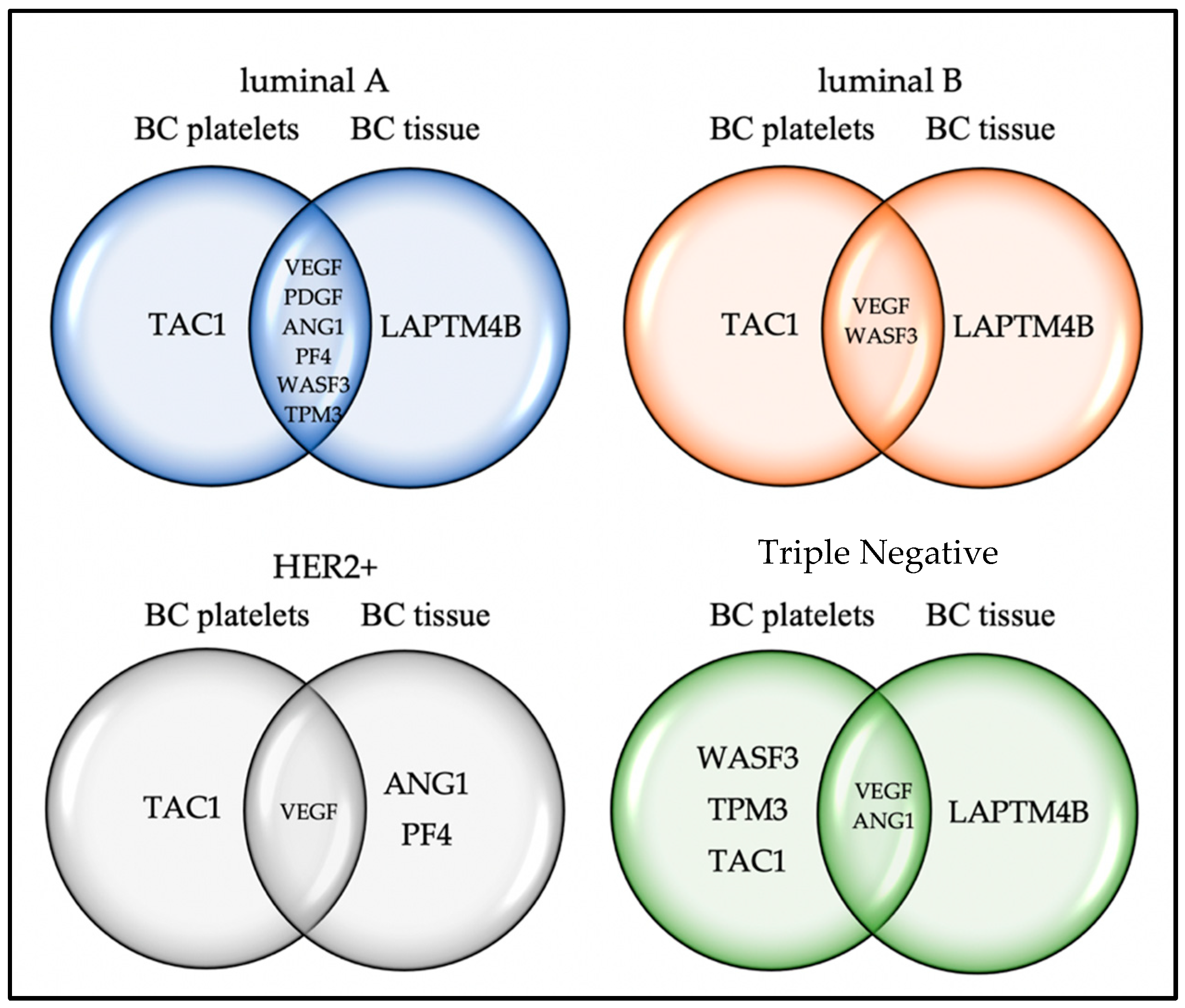 Ijms 24 08348 g002 Ijms 24 08348 g002