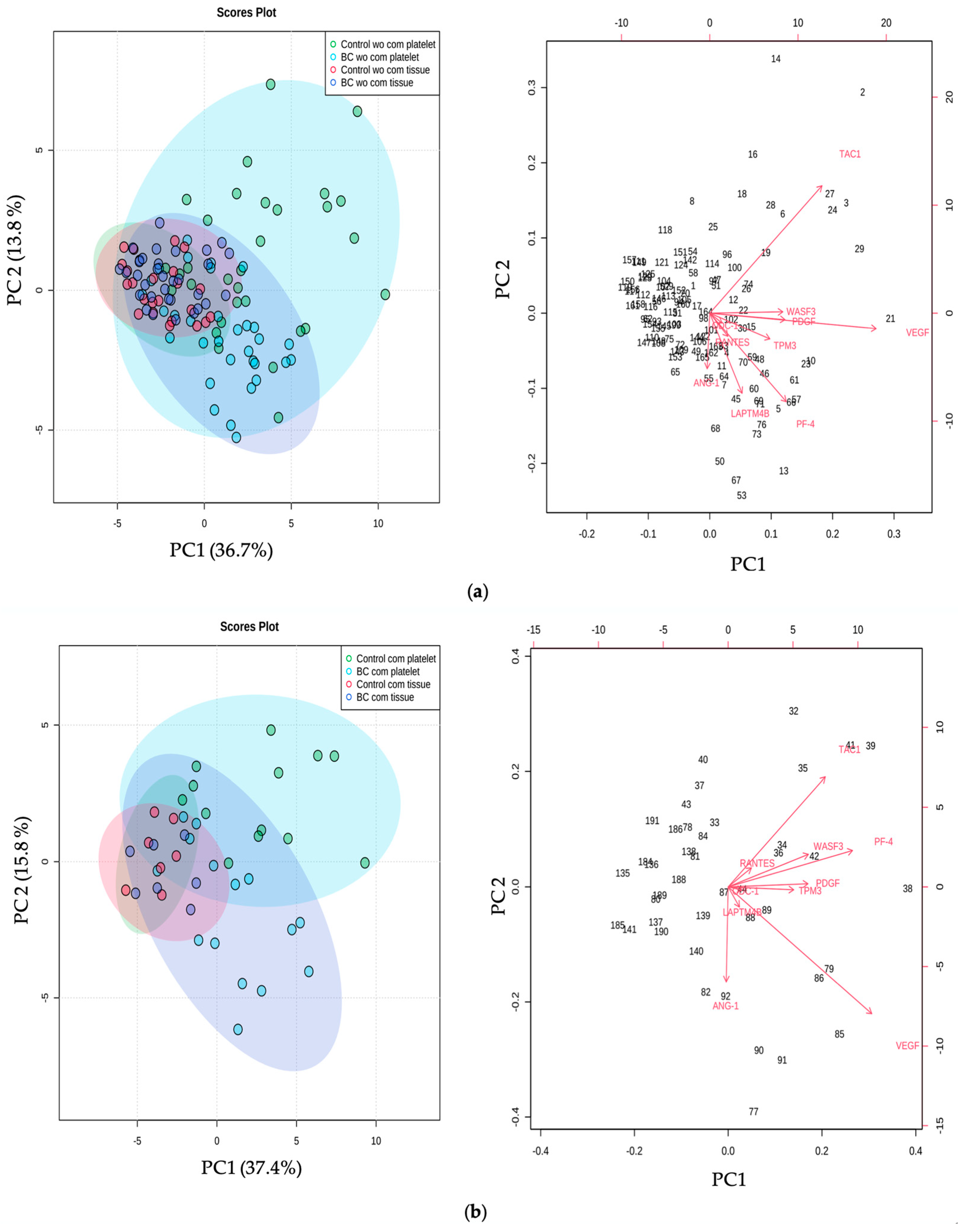 Ijms 24 08348 g004 Ijms 24 08348 g004