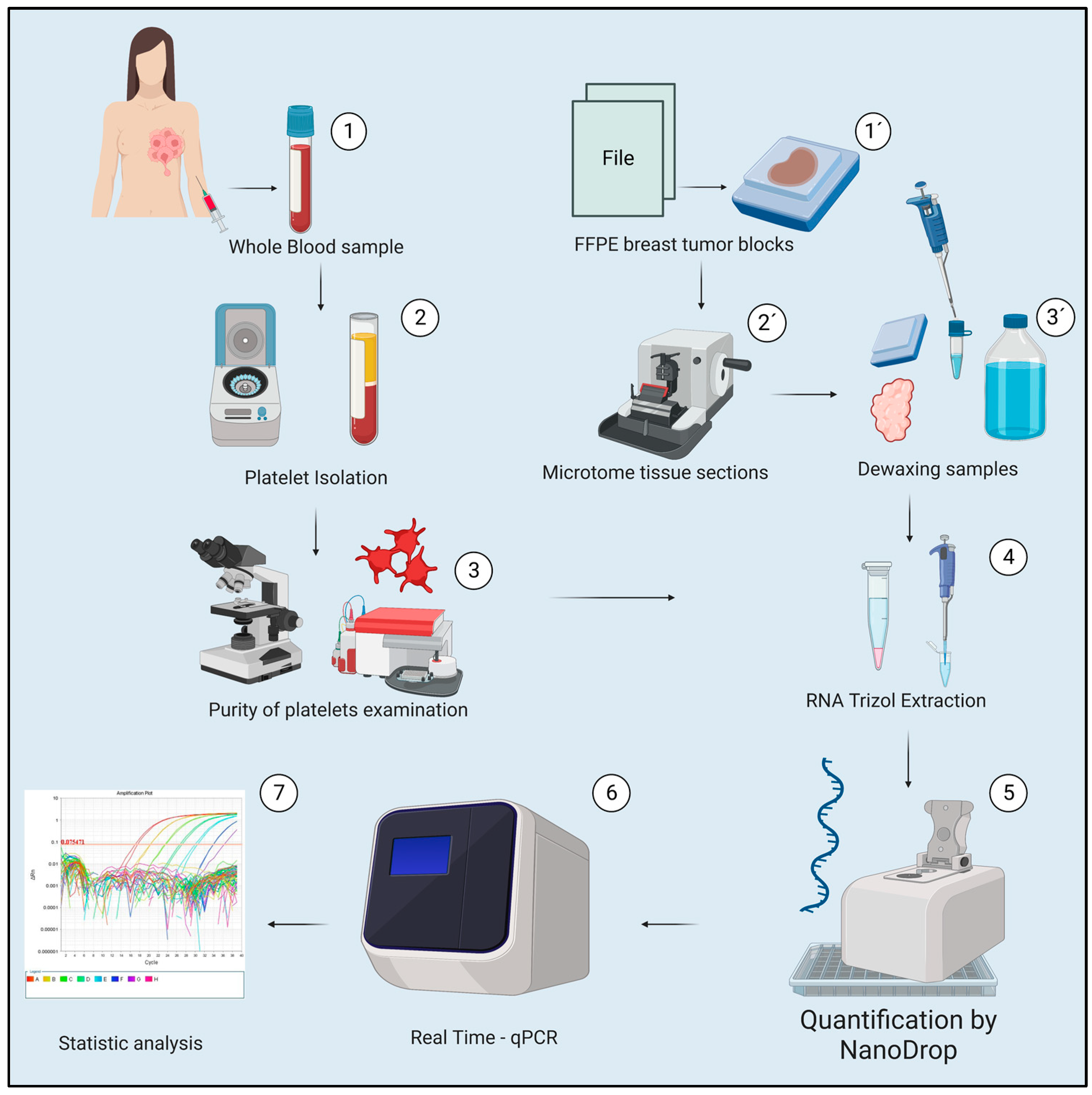 Ijms 24 08348 g007 Ijms 24 08348 g007