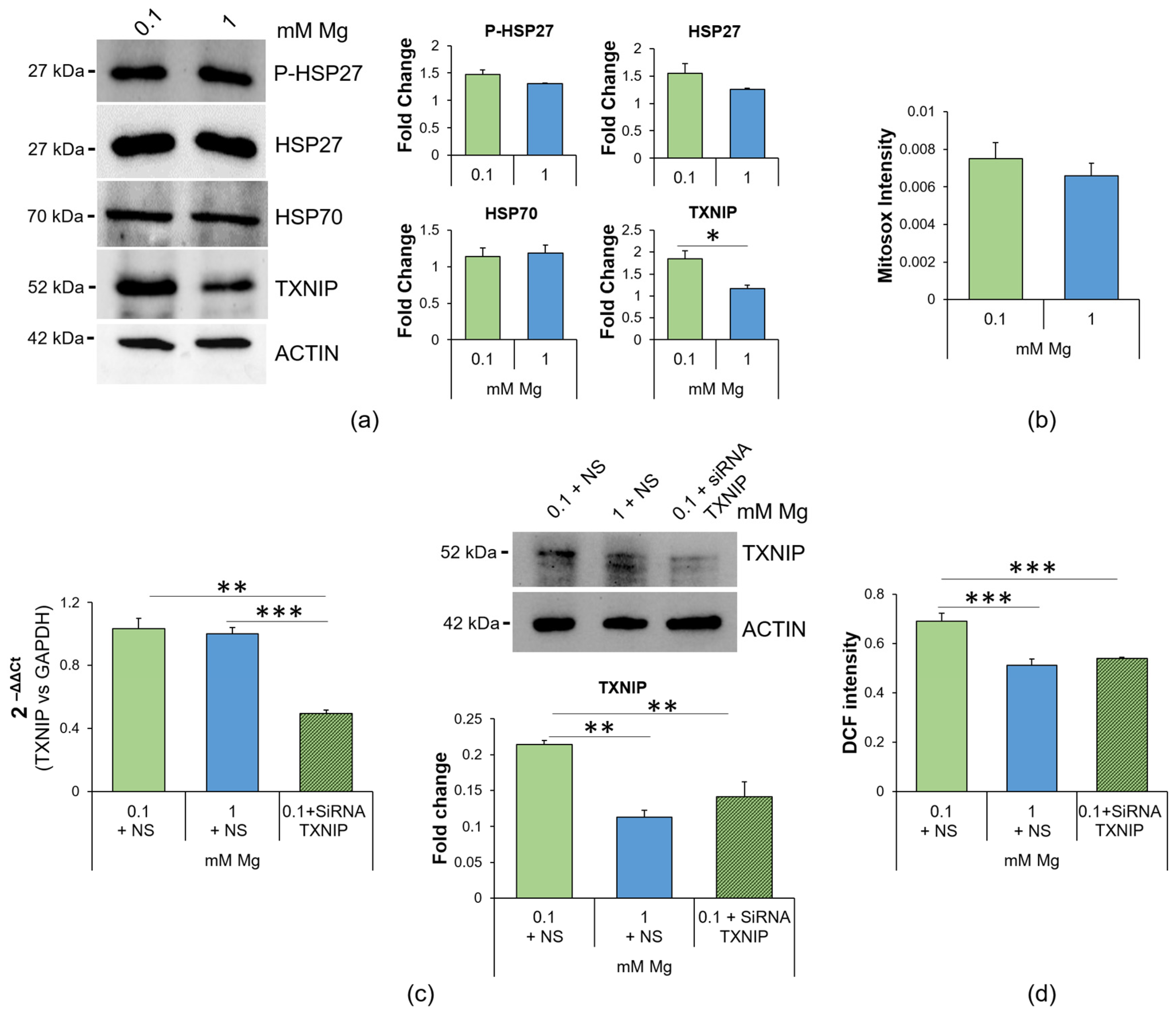 Ijms 24 08351 g002 Ijms 24 08351 g002