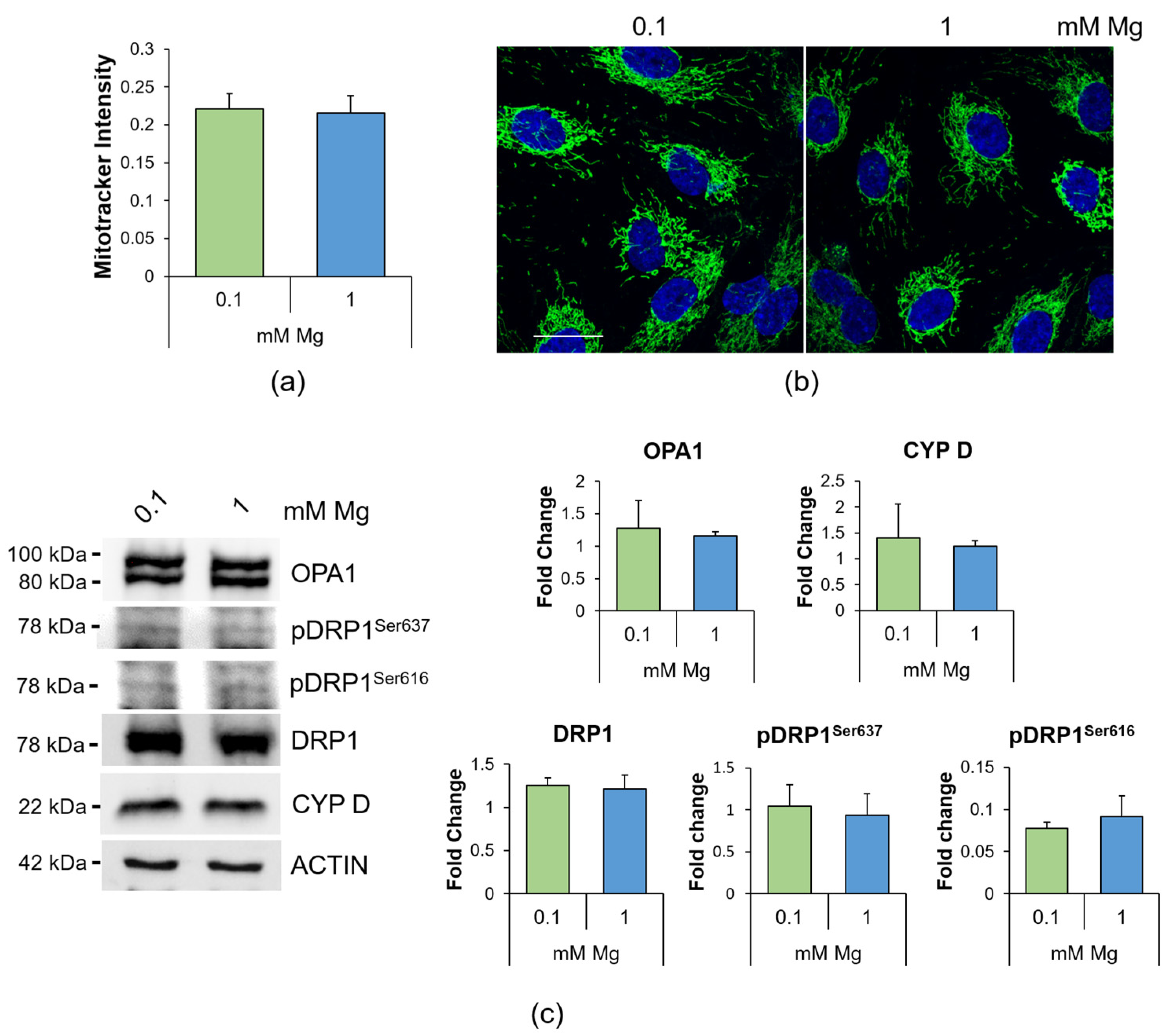 Ijms 24 08351 g003 Ijms 24 08351 g003