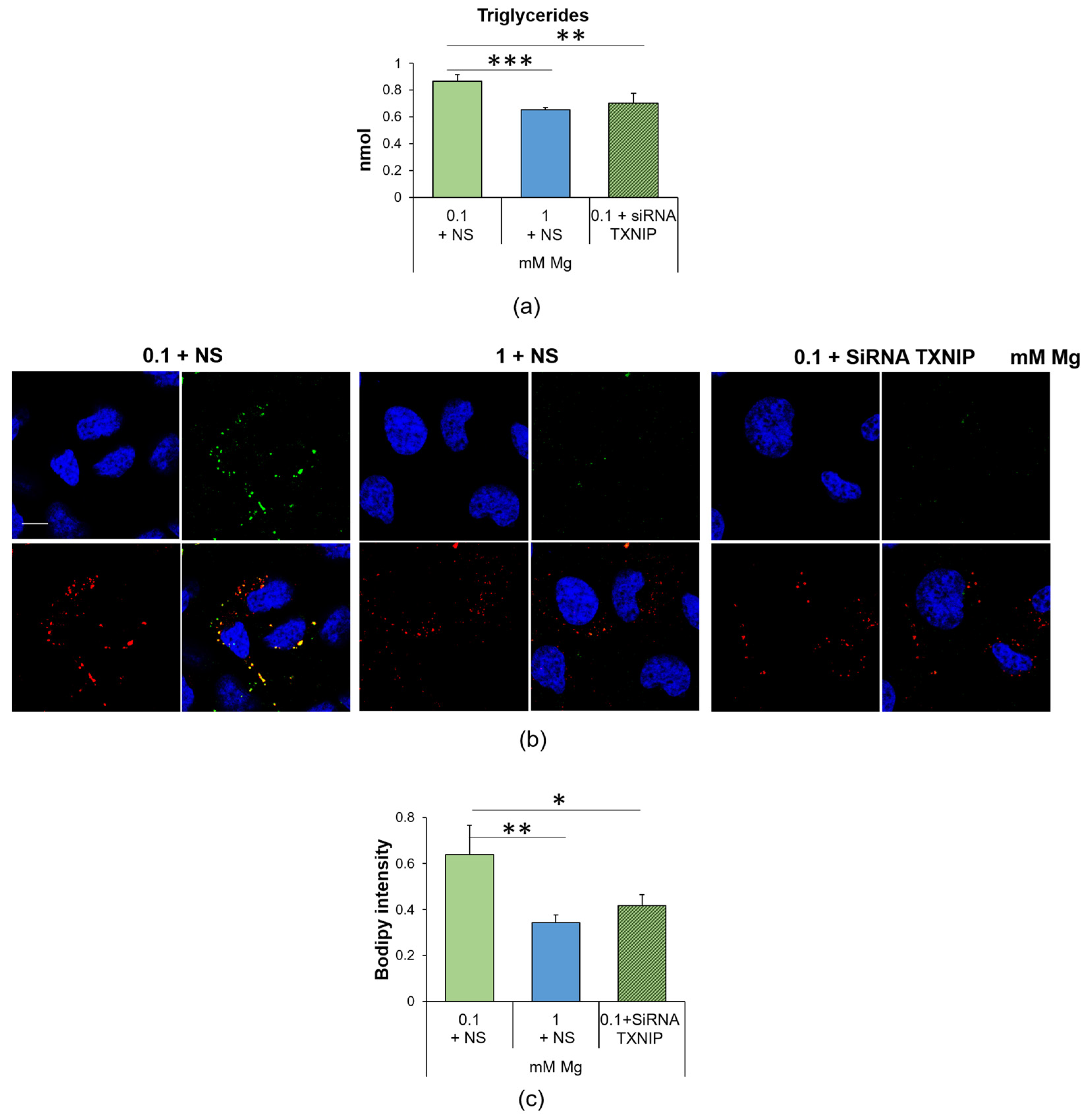 Ijms 24 08351 g004 Ijms 24 08351 g004