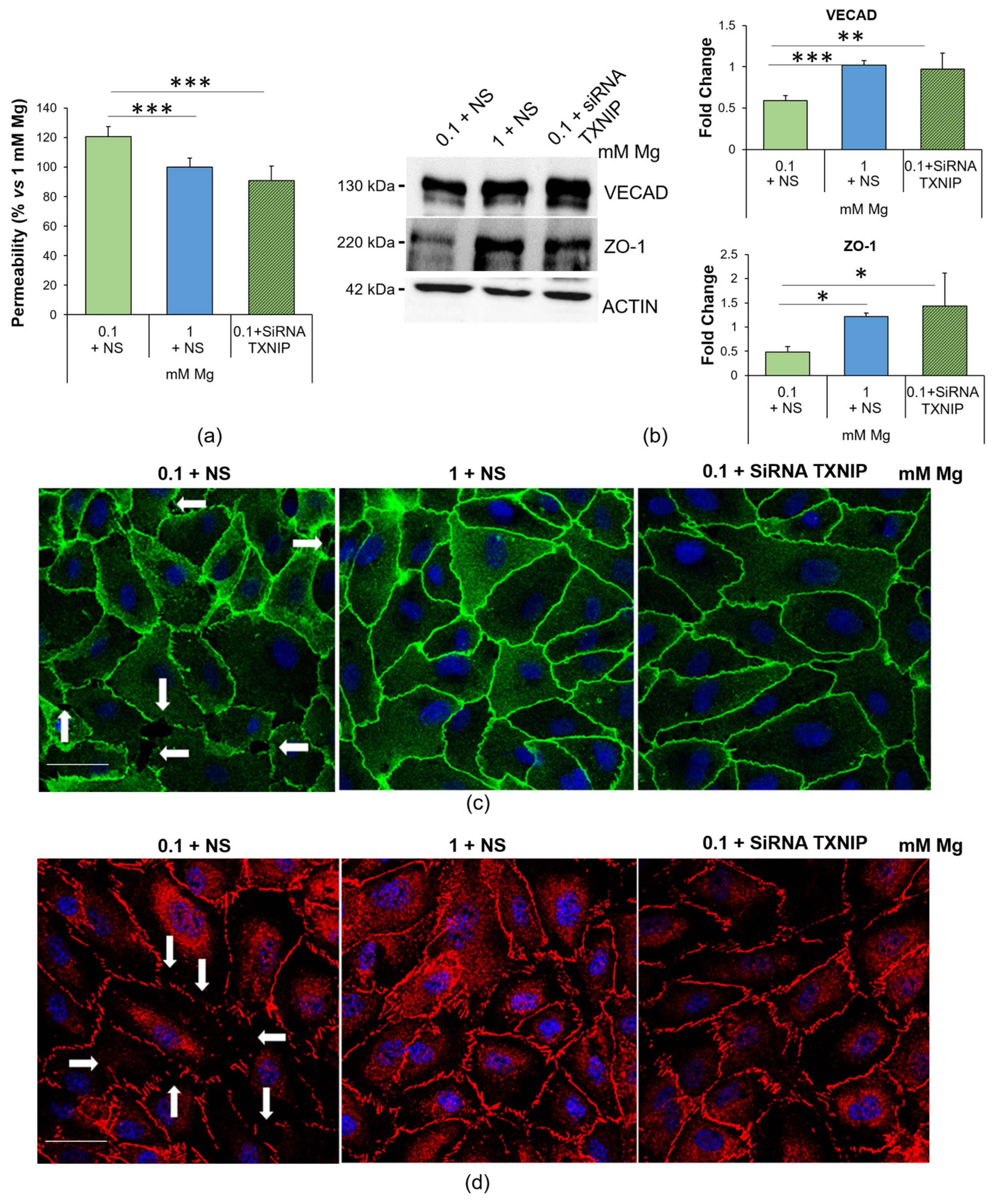 Ijms 24 08351 g005 Ijms 24 08351 g005