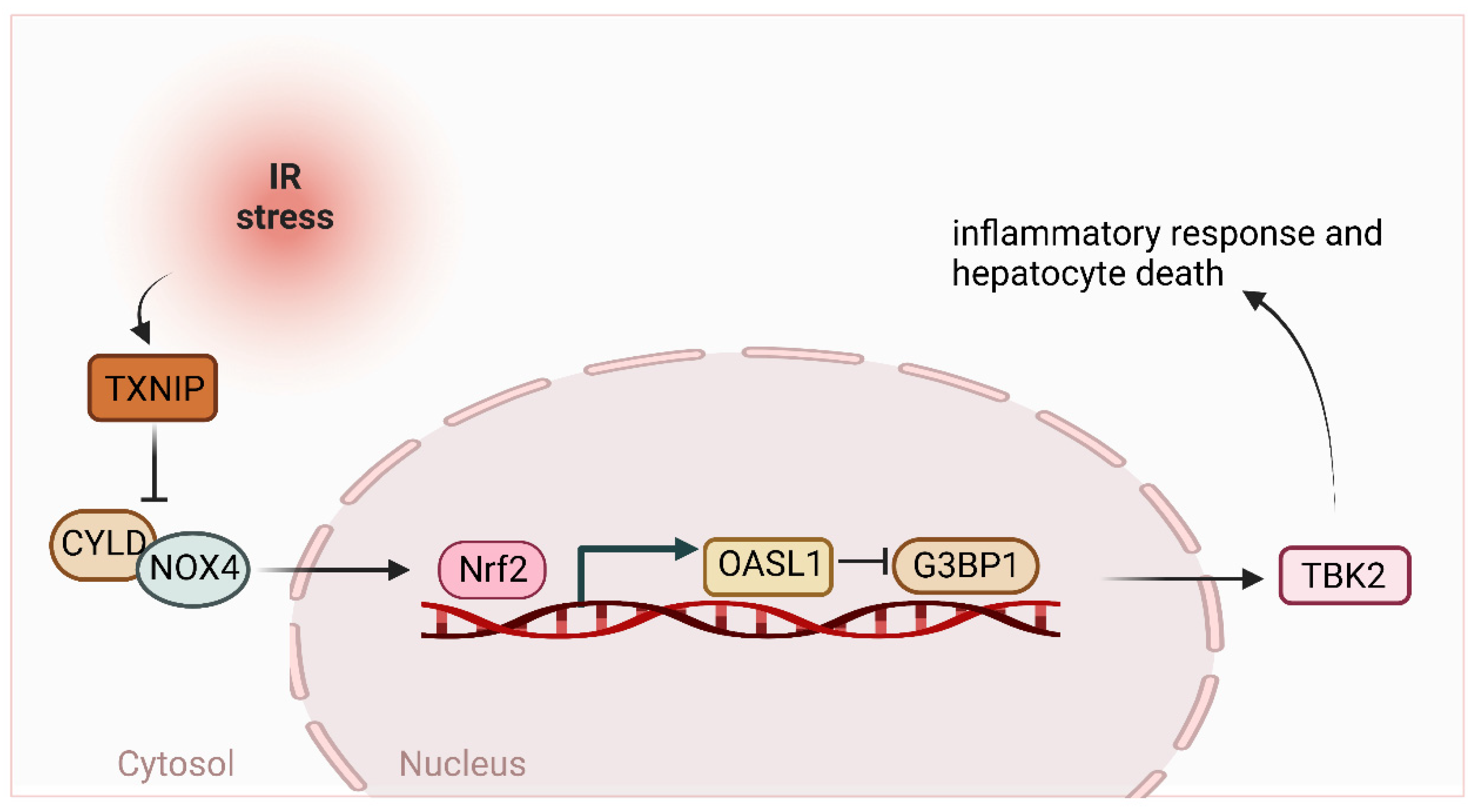 Ijms 24 08368 g003 Ijms 24 08368 g003