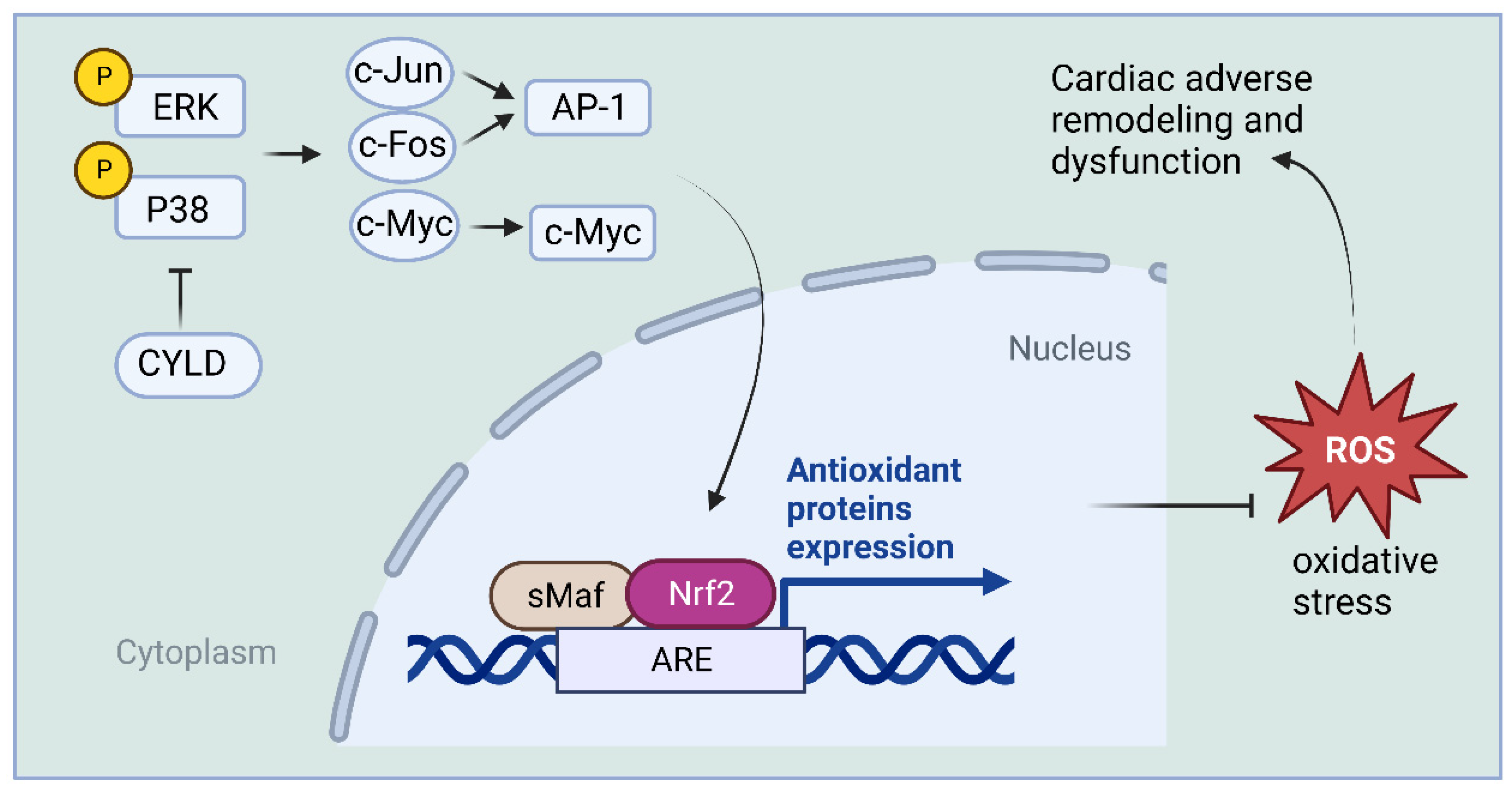Ijms 24 08368 g004 Ijms 24 08368 g004