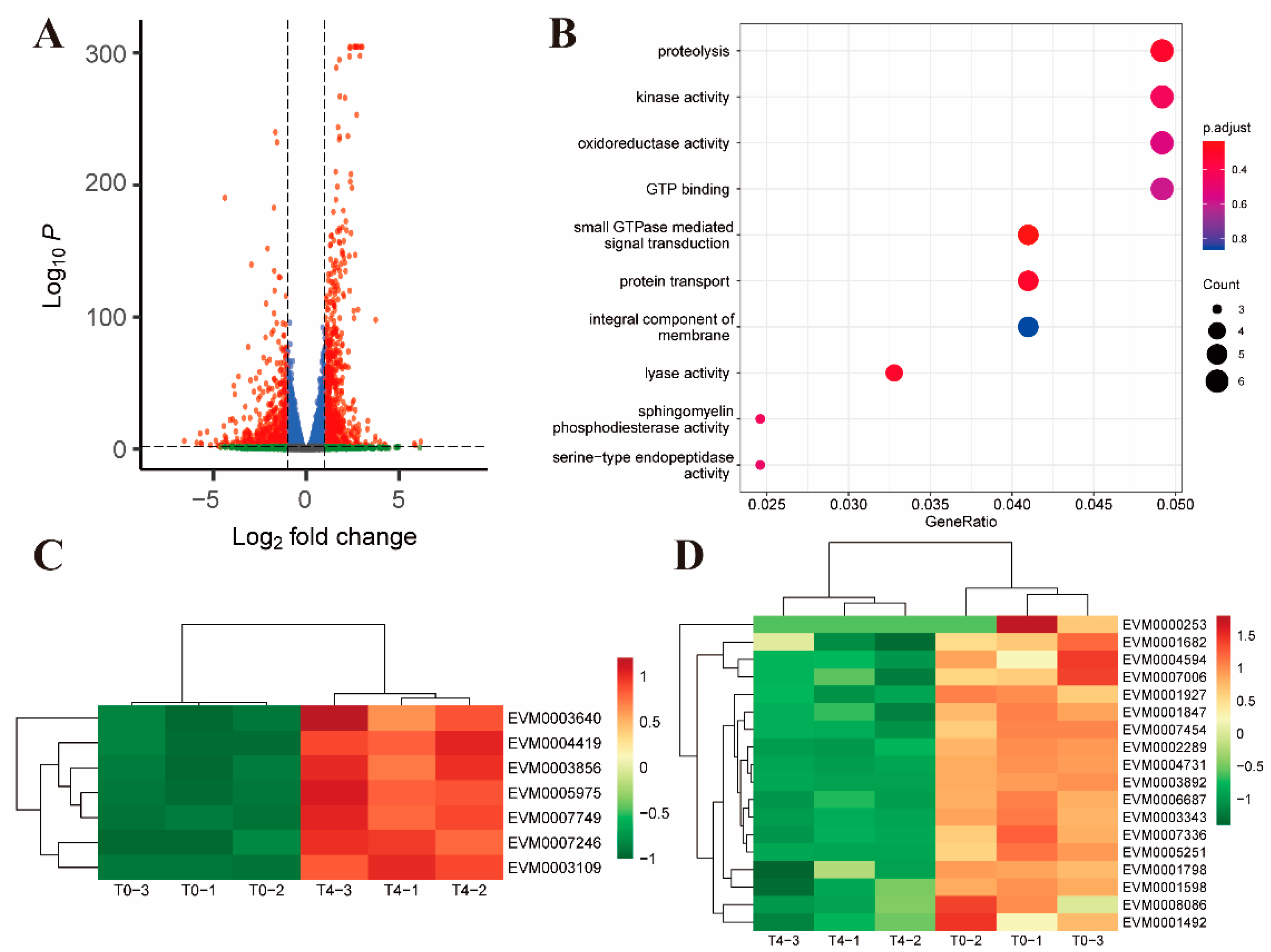 Ijms 24 08370 g004 Ijms 24 08370 g004