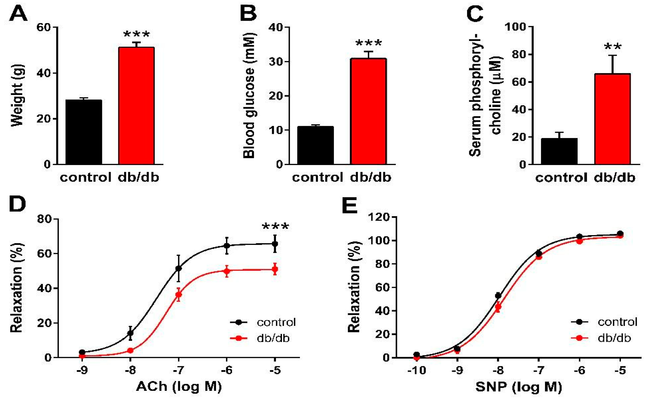 Ijms 24 08375 g001 Ijms 24 08375 g001