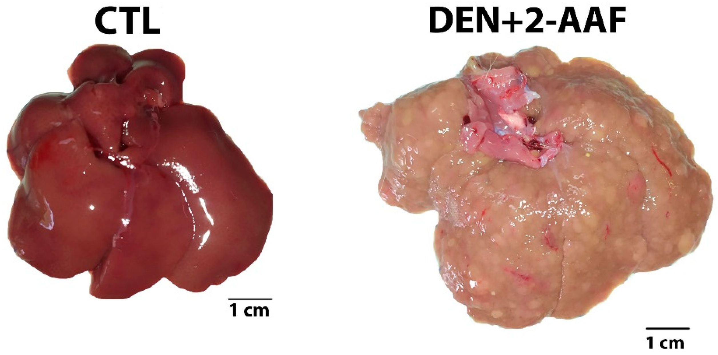 Ijms 24 08387 g001 Ijms 24 08387 g001