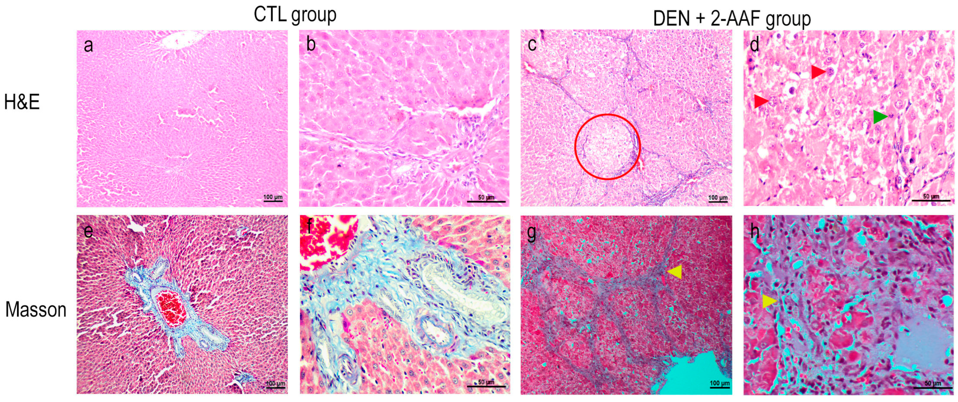 Ijms 24 08387 g002 Ijms 24 08387 g002