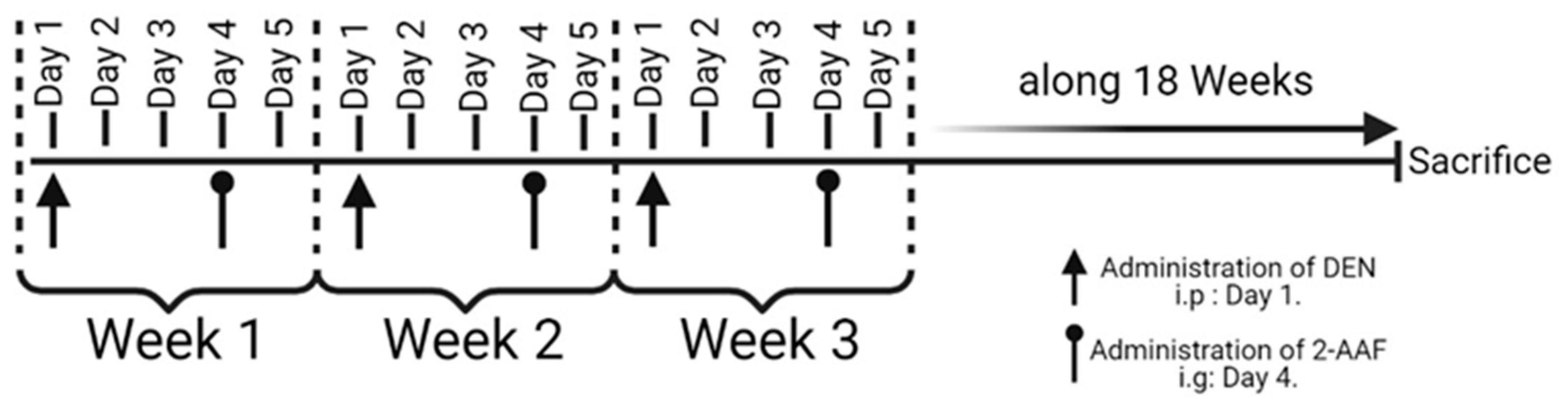 Ijms 24 08387 g007 Ijms 24 08387 g007