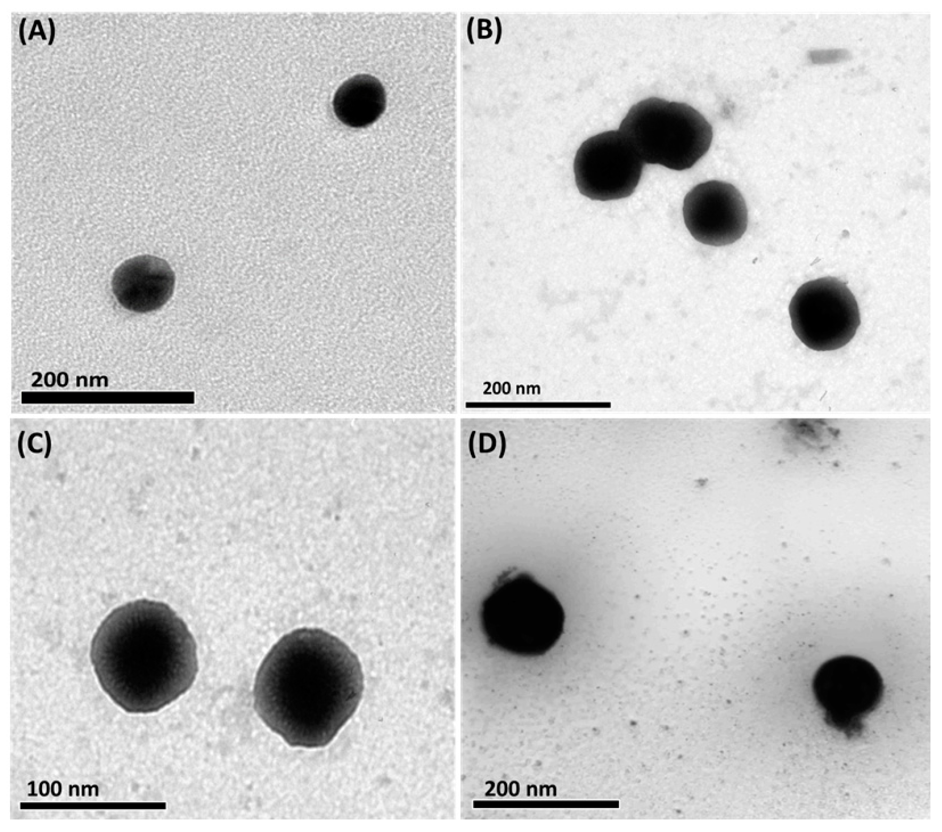 Ijms 24 08392 g002 Ijms 24 08392 g002