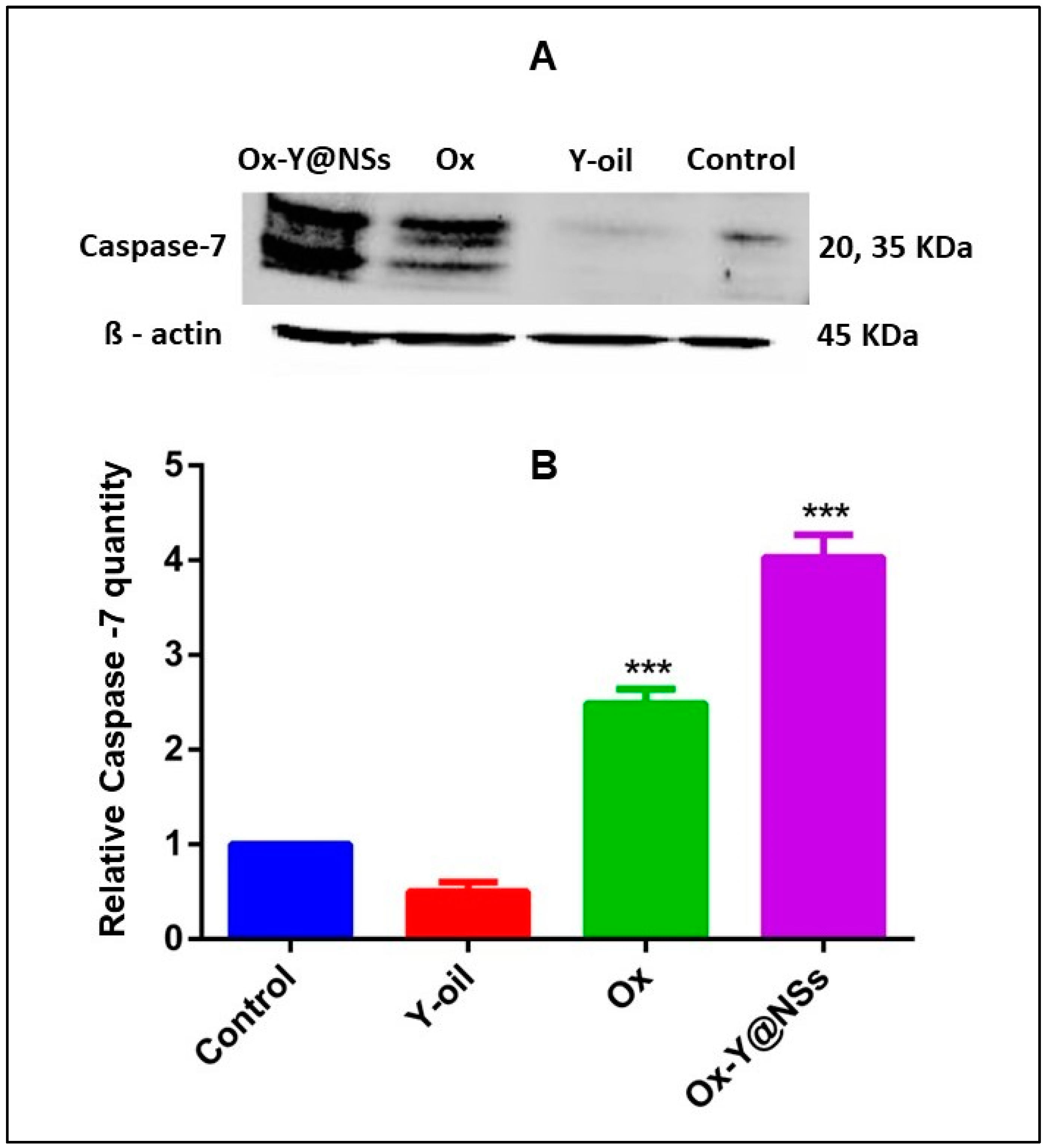 Ijms 24 08392 g007 Ijms 24 08392 g007