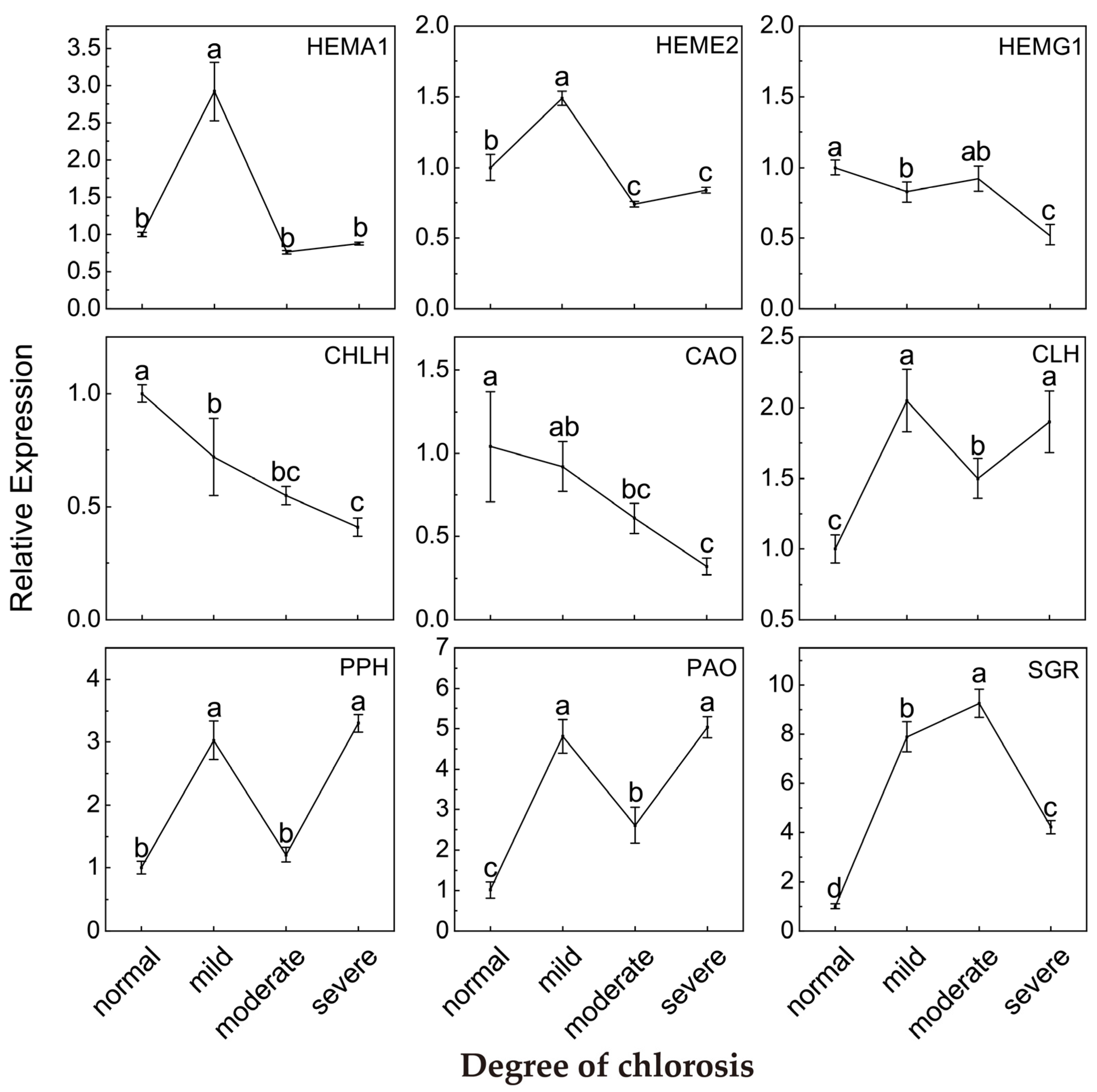 Ijms 24 08394 g004 Ijms 24 08394 g004