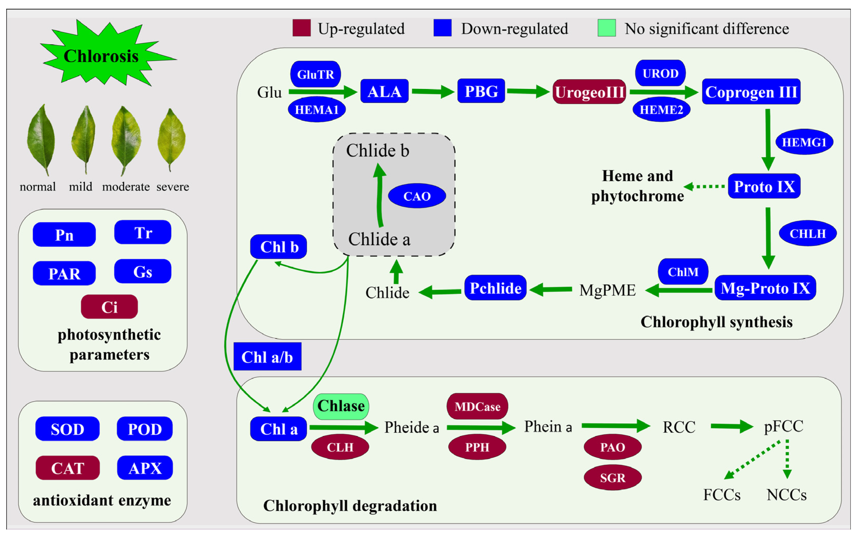 Ijms 24 08394 g007 Ijms 24 08394 g007