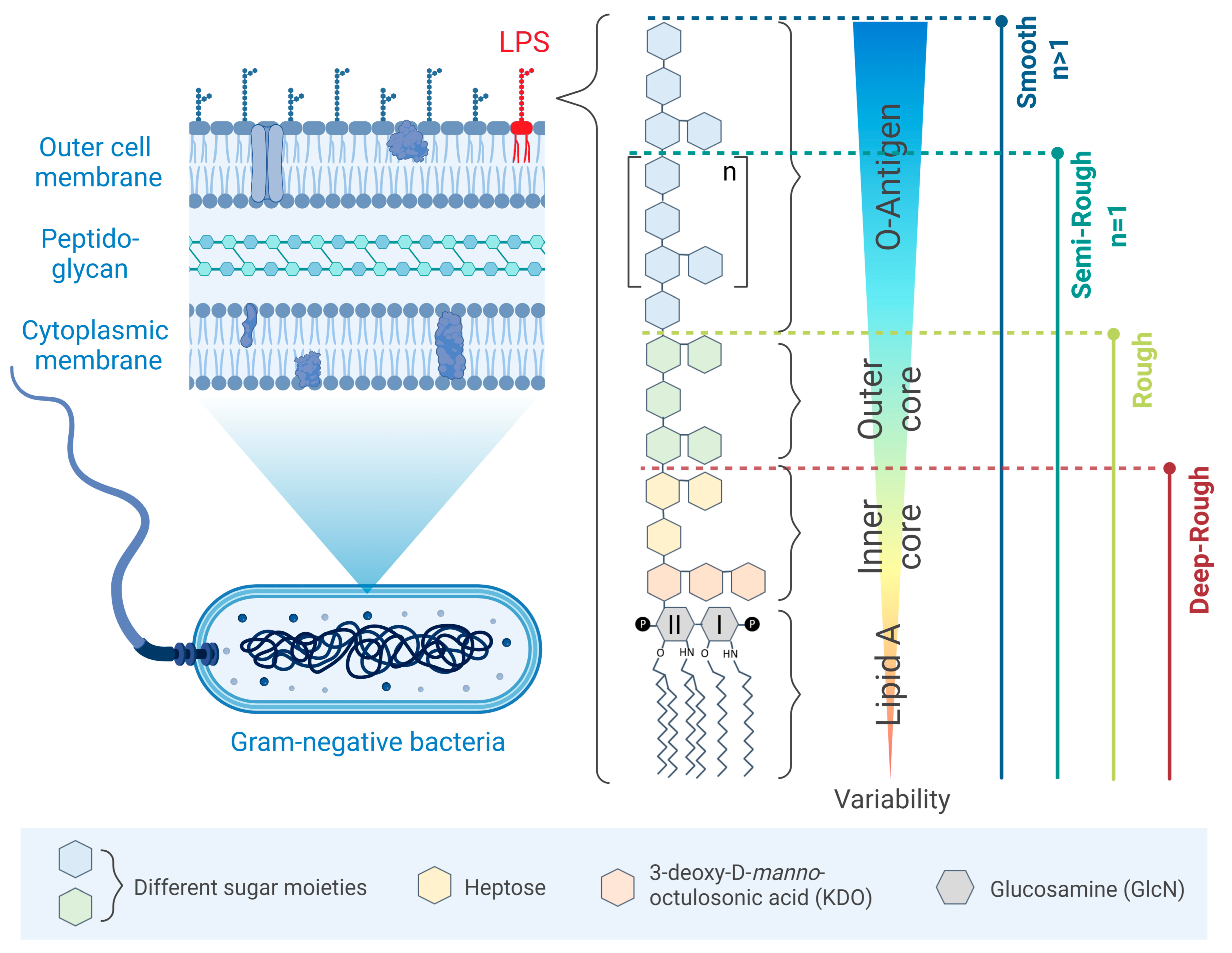Ijms 24 08395 g001 Ijms 24 08395 g001