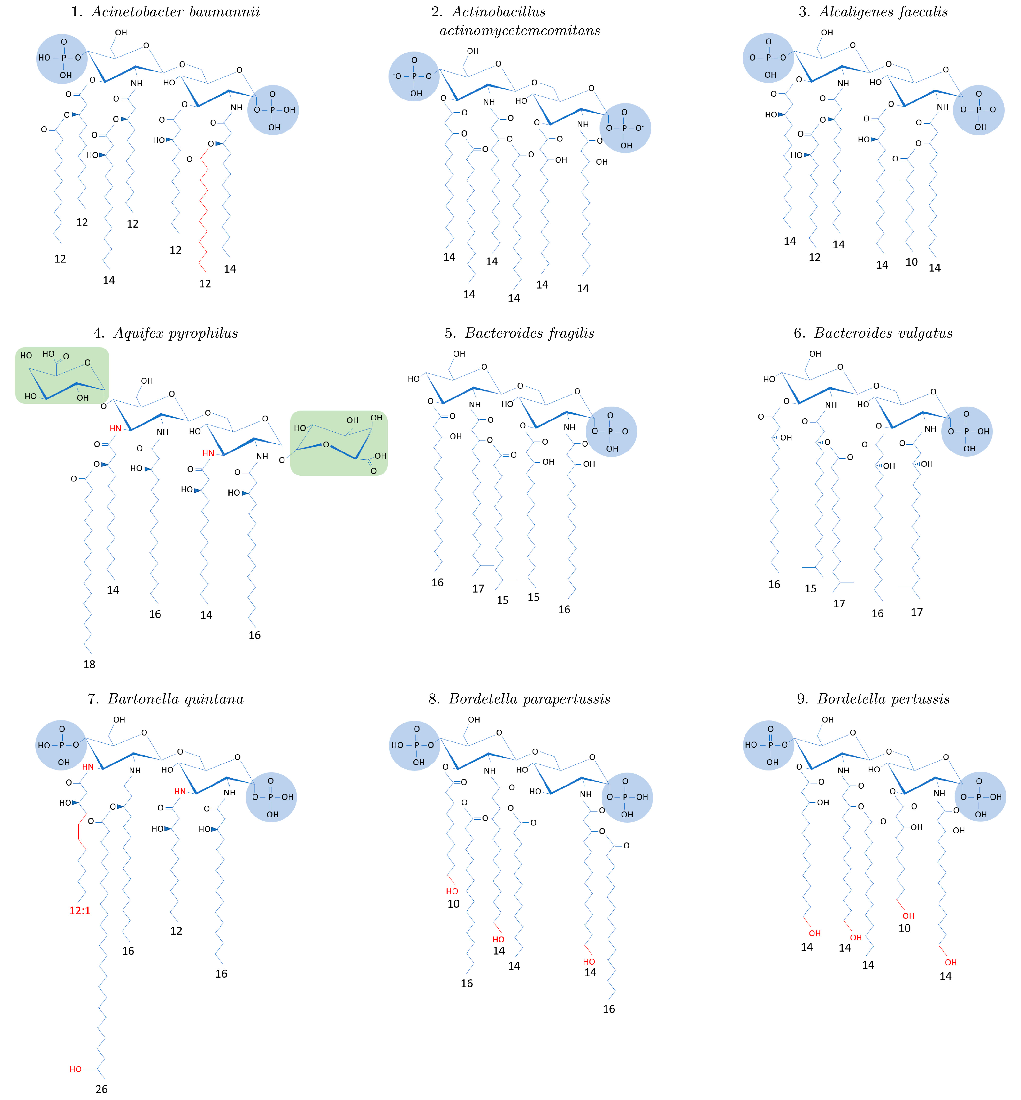 Ijms 24 08395 g0a1a Ijms 24 08395 g0a1a