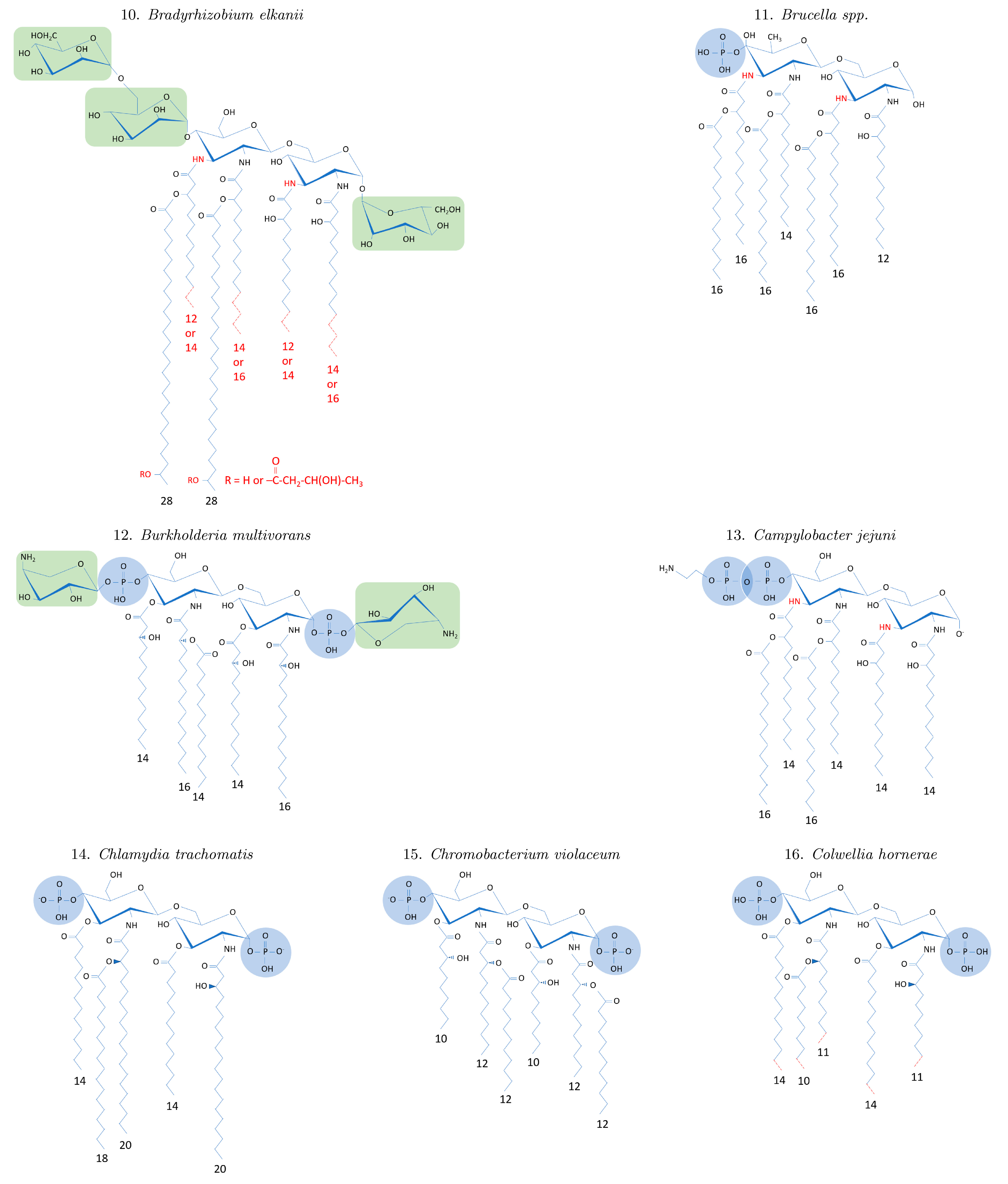 Ijms 24 08395 g0a1b Ijms 24 08395 g0a1b