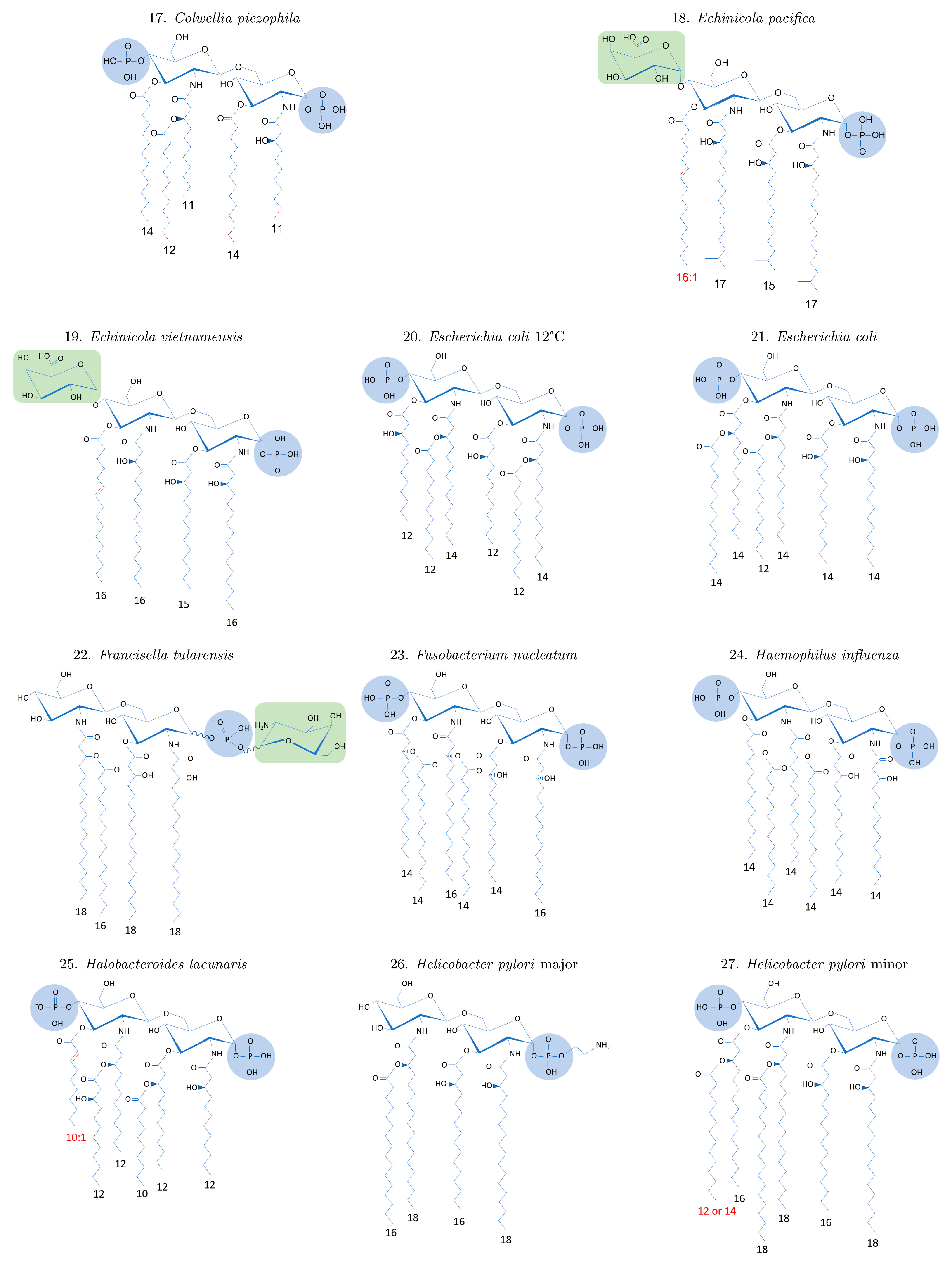 Ijms 24 08395 g0a1c Ijms 24 08395 g0a1c