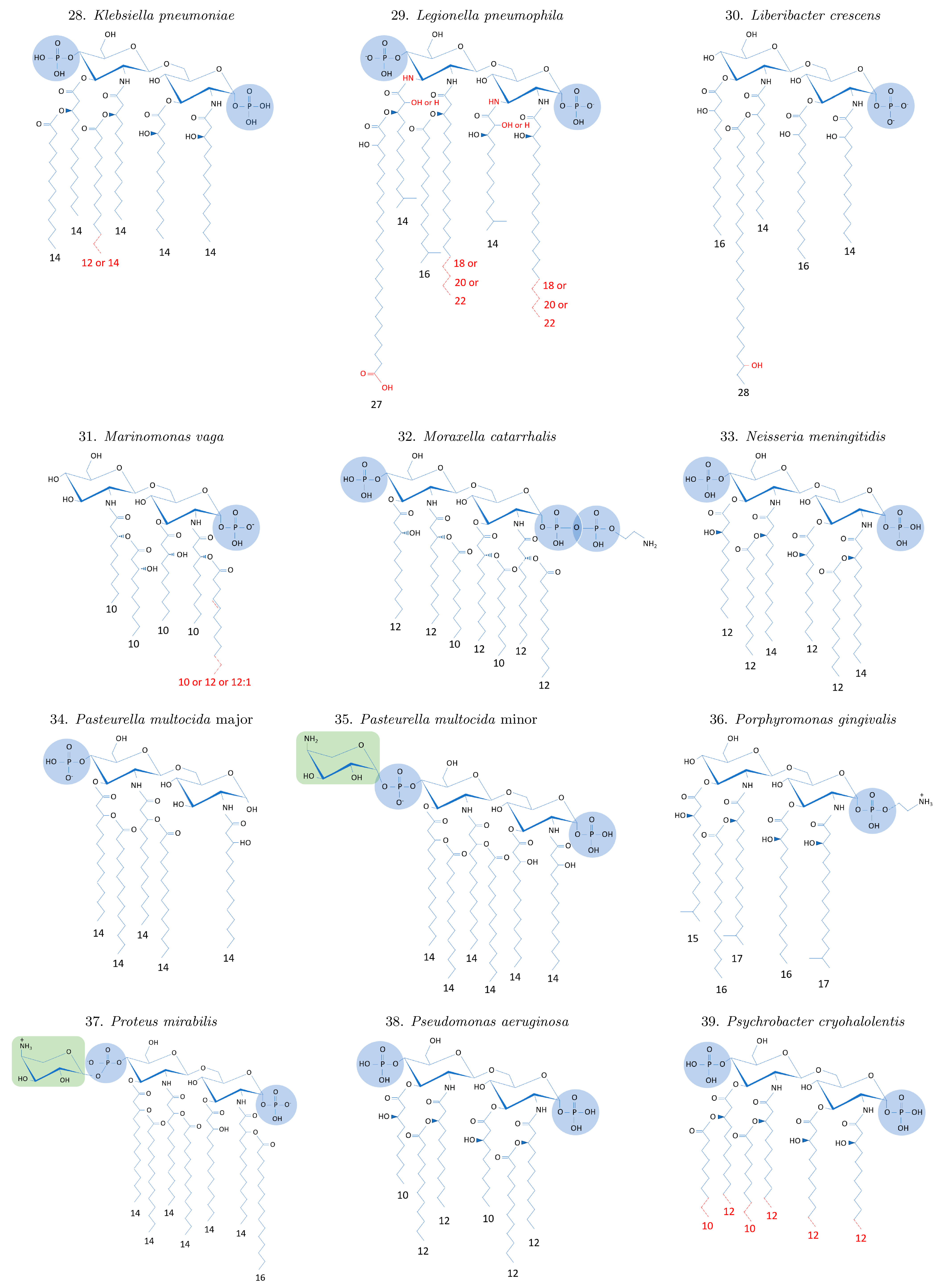 Ijms 24 08395 g0a1d Ijms 24 08395 g0a1d