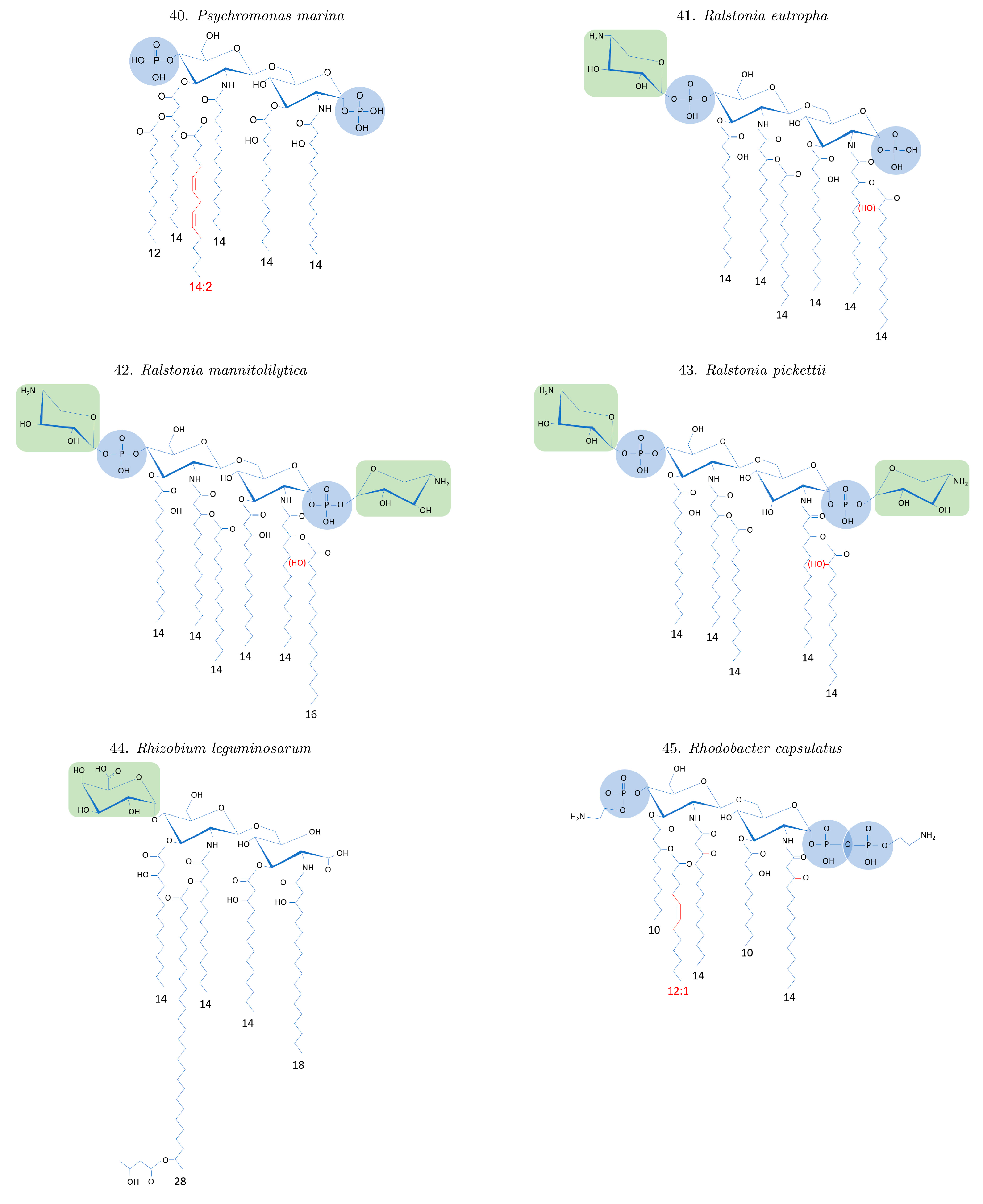 Ijms 24 08395 g0a1e Ijms 24 08395 g0a1e