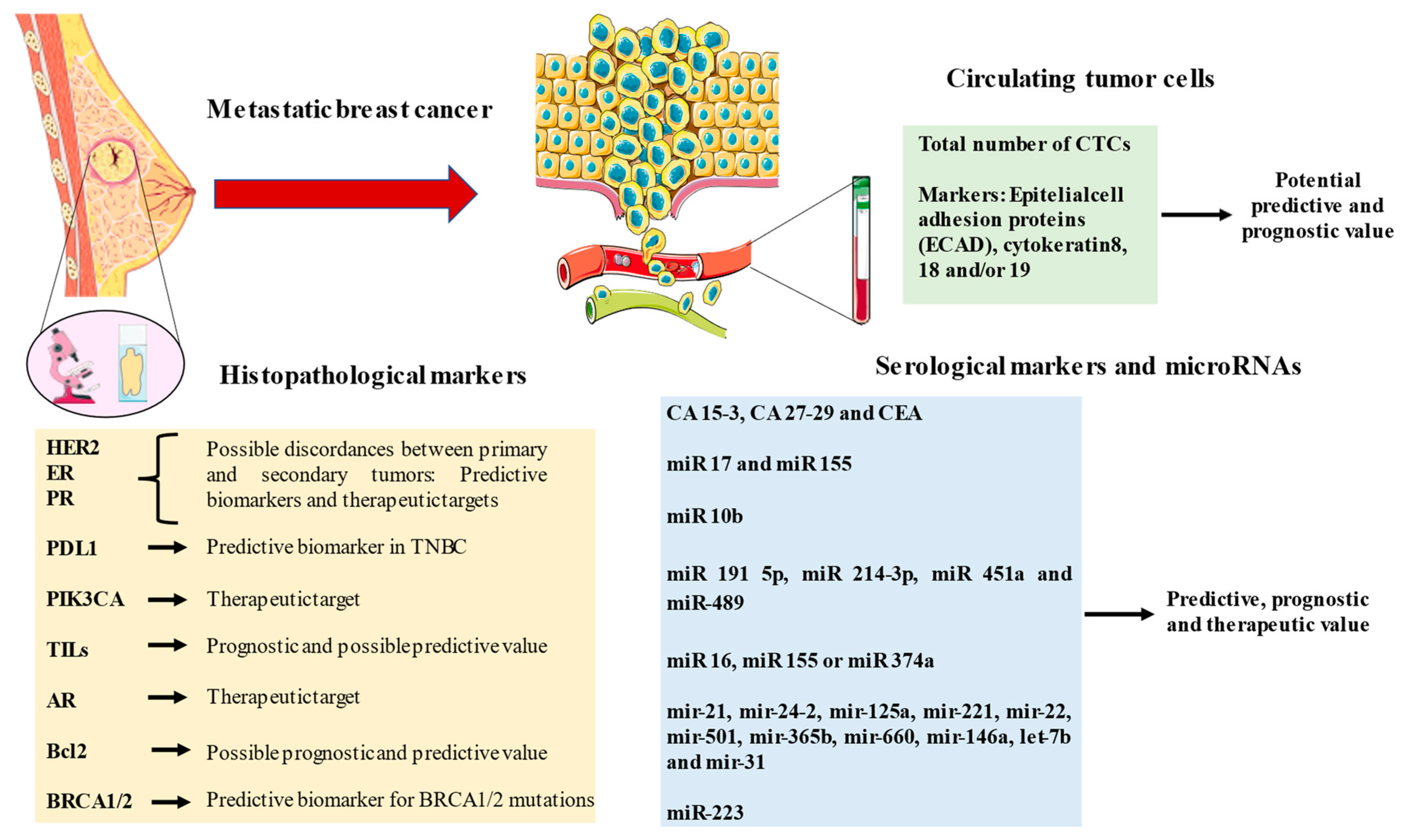 Ijms 24 08396 g002 Ijms 24 08396 g002