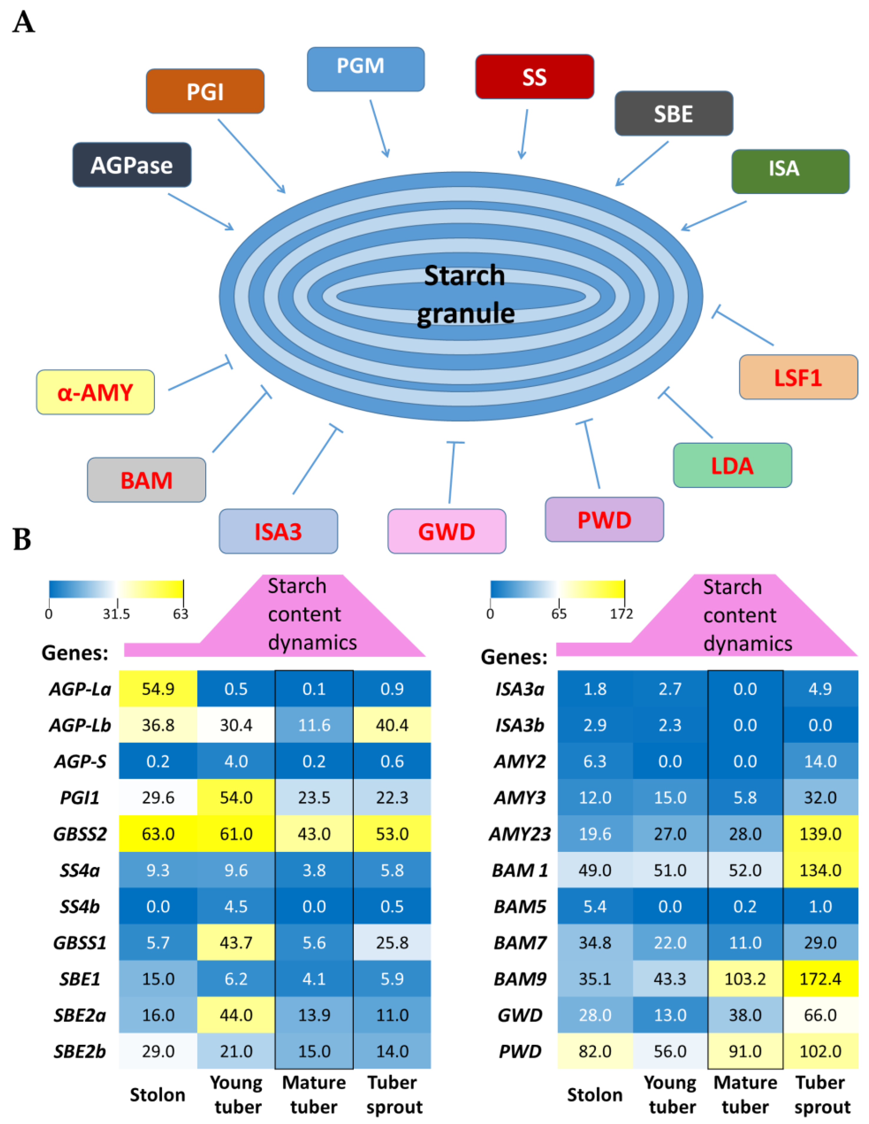 Ijms 24 08397 g001 Ijms 24 08397 g001