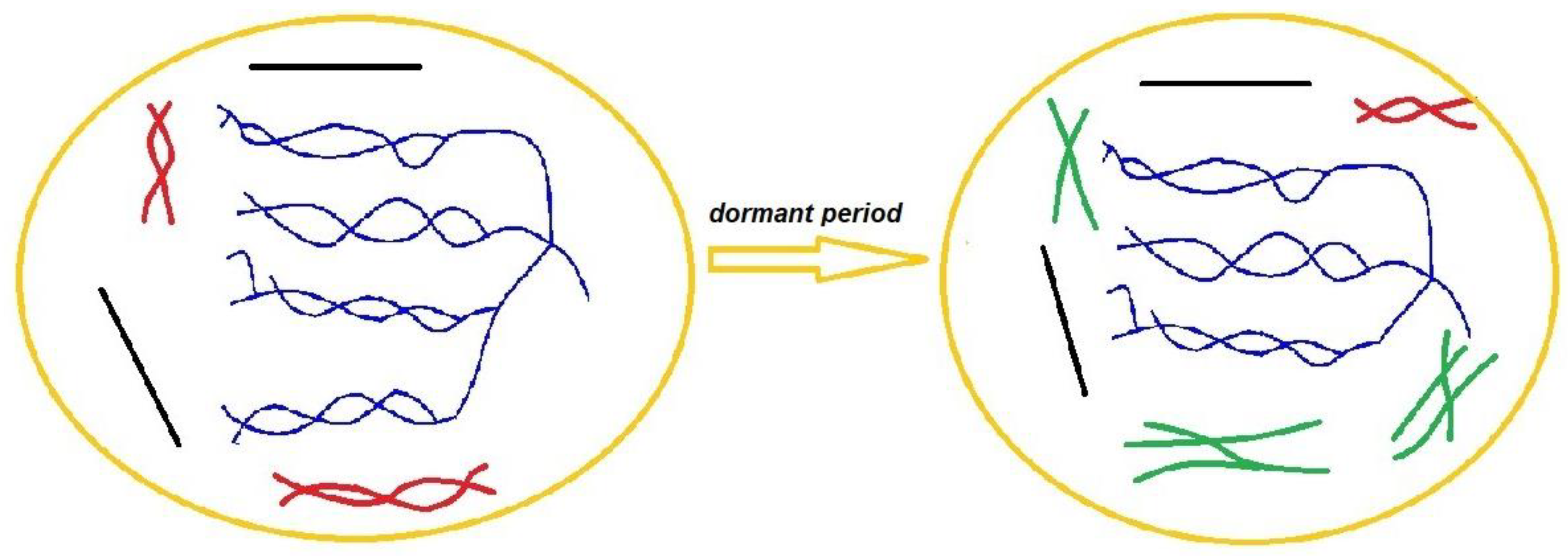 Ijms 24 08397 g008 Ijms 24 08397 g008