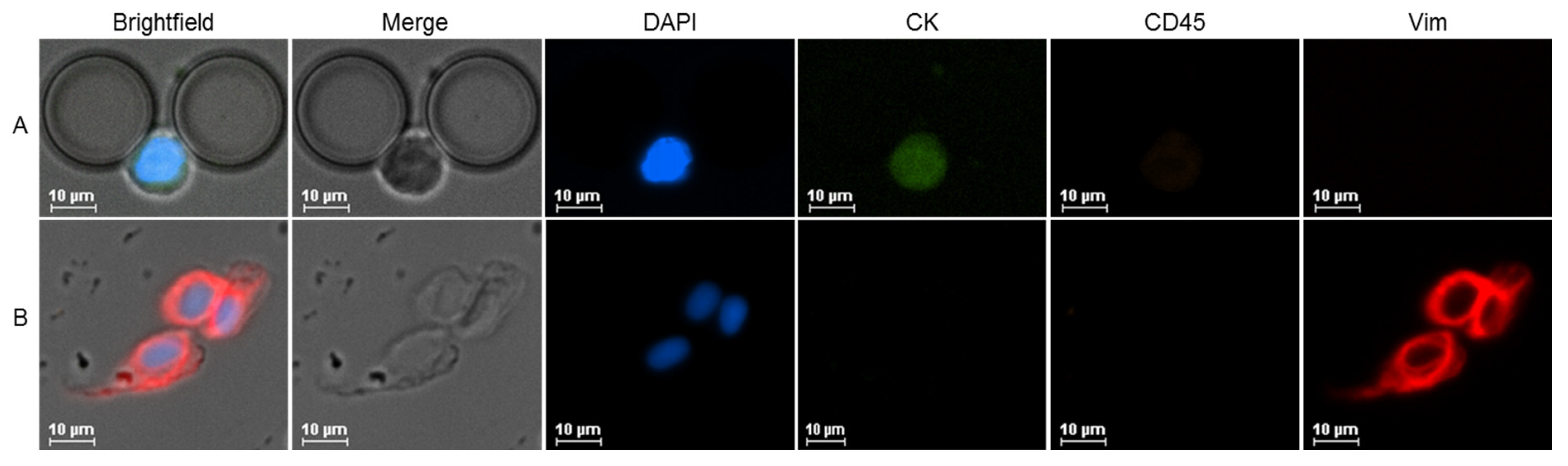 Ijms 24 08404 g002 Ijms 24 08404 g002