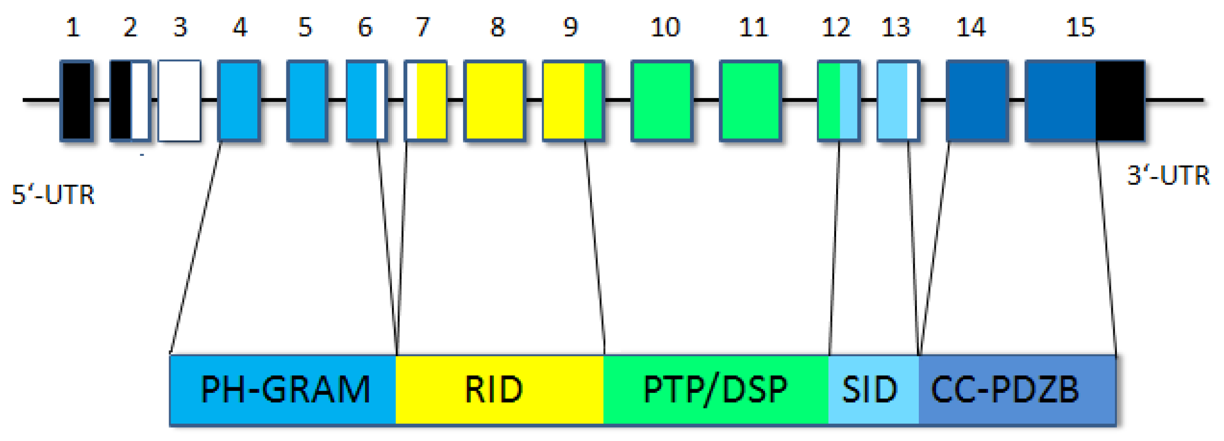 Ijms 24 08409 g001 Ijms 24 08409 g001