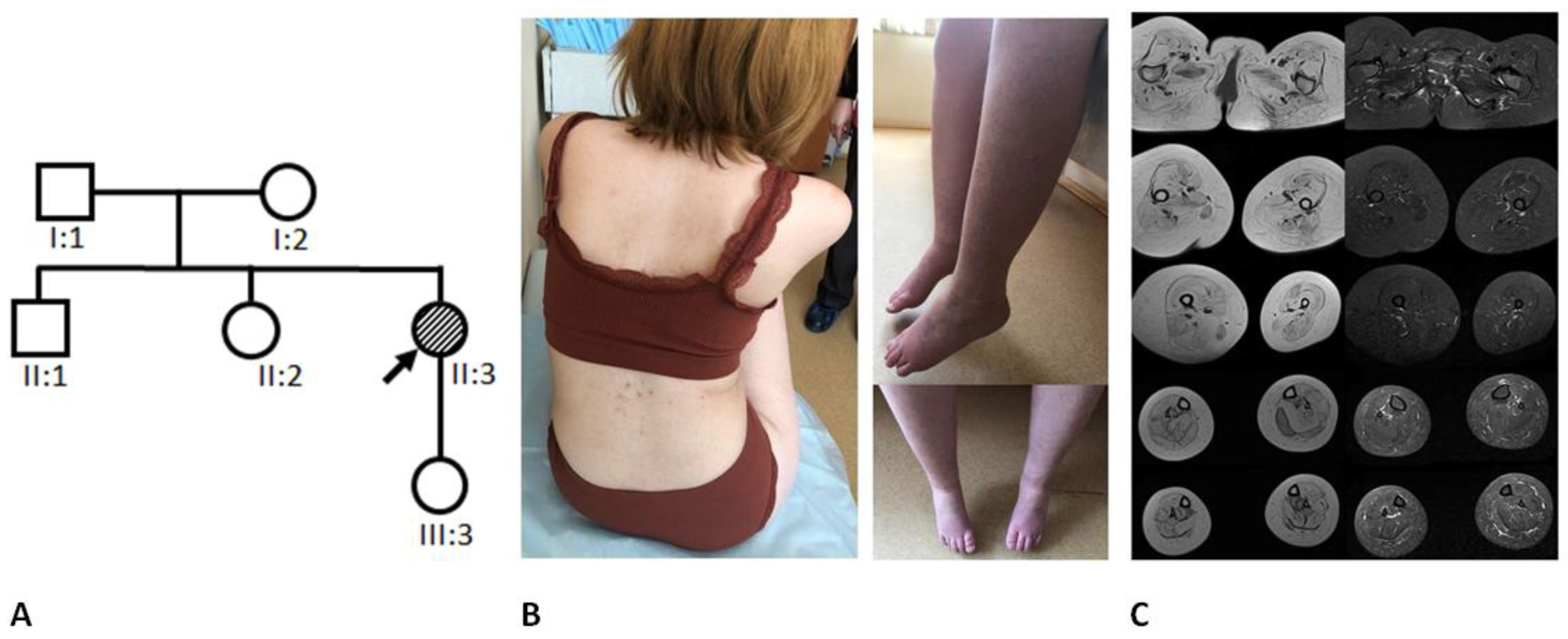 Ijms 24 08409 g002 Ijms 24 08409 g002