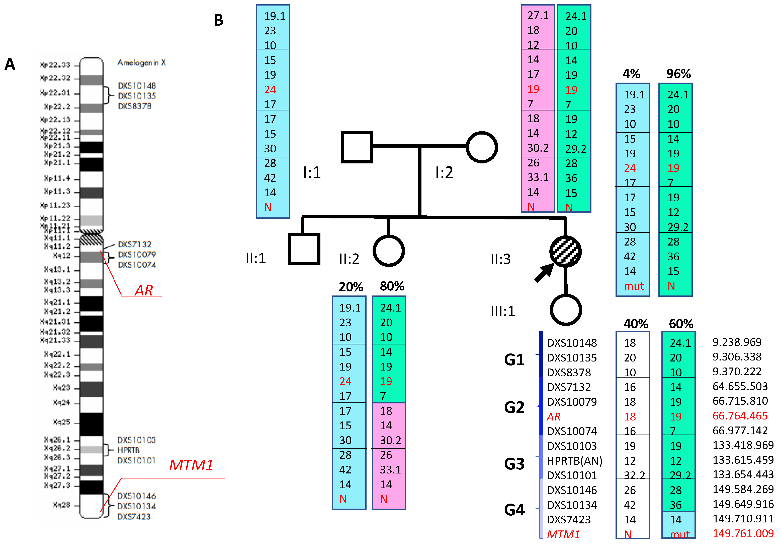 Ijms 24 08409 g004 Ijms 24 08409 g004