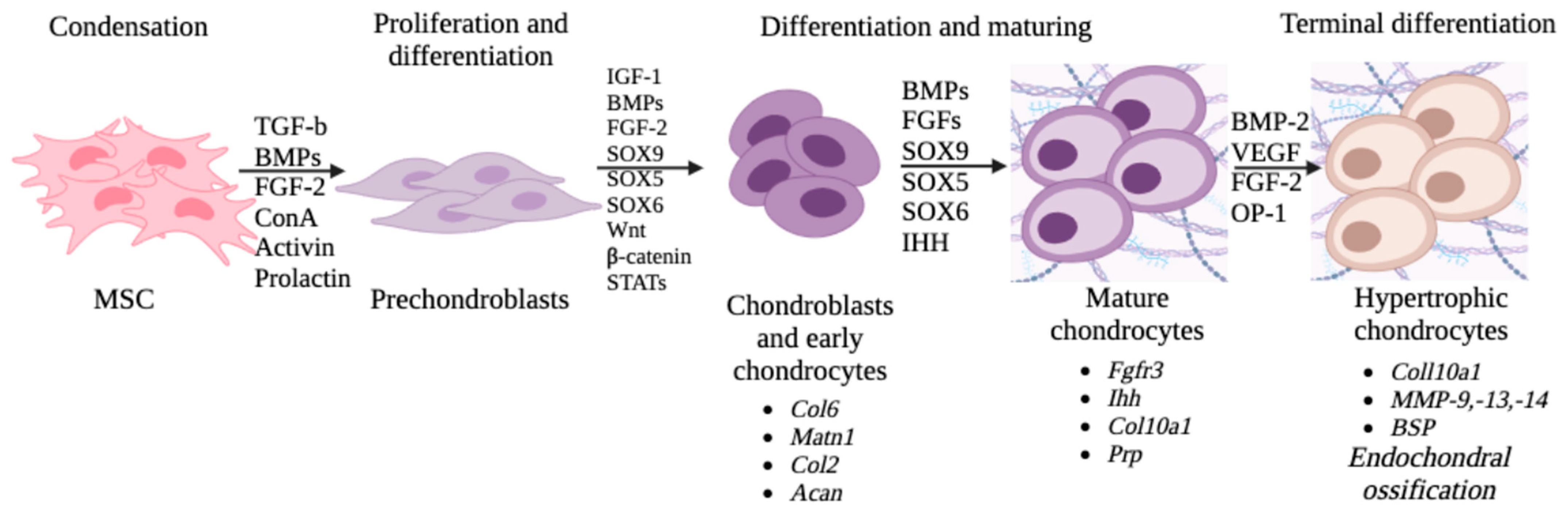 Ijms 24 08415 g001 Ijms 24 08415 g001