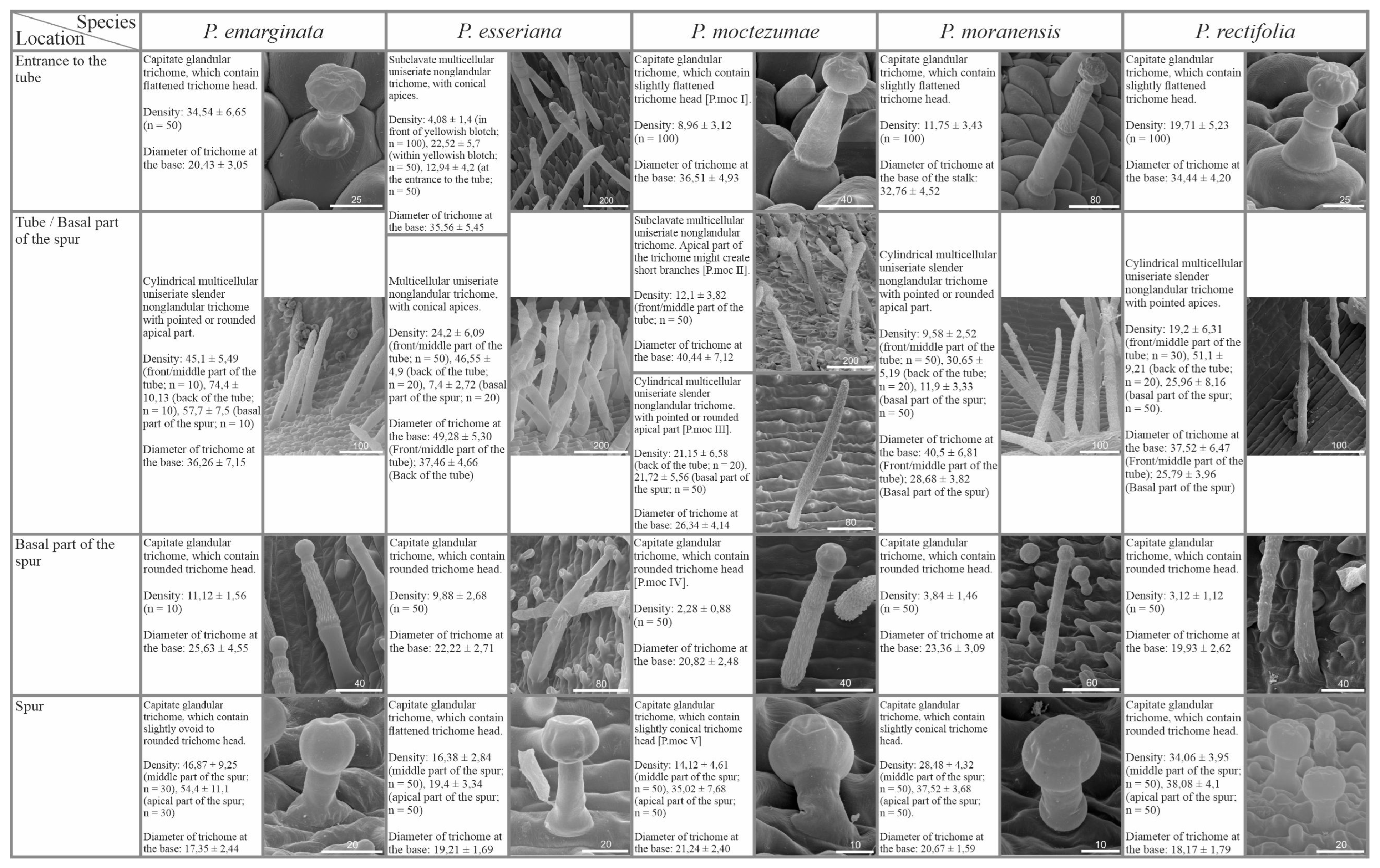 Ijms 24 08423 g002 Ijms 24 08423 g002