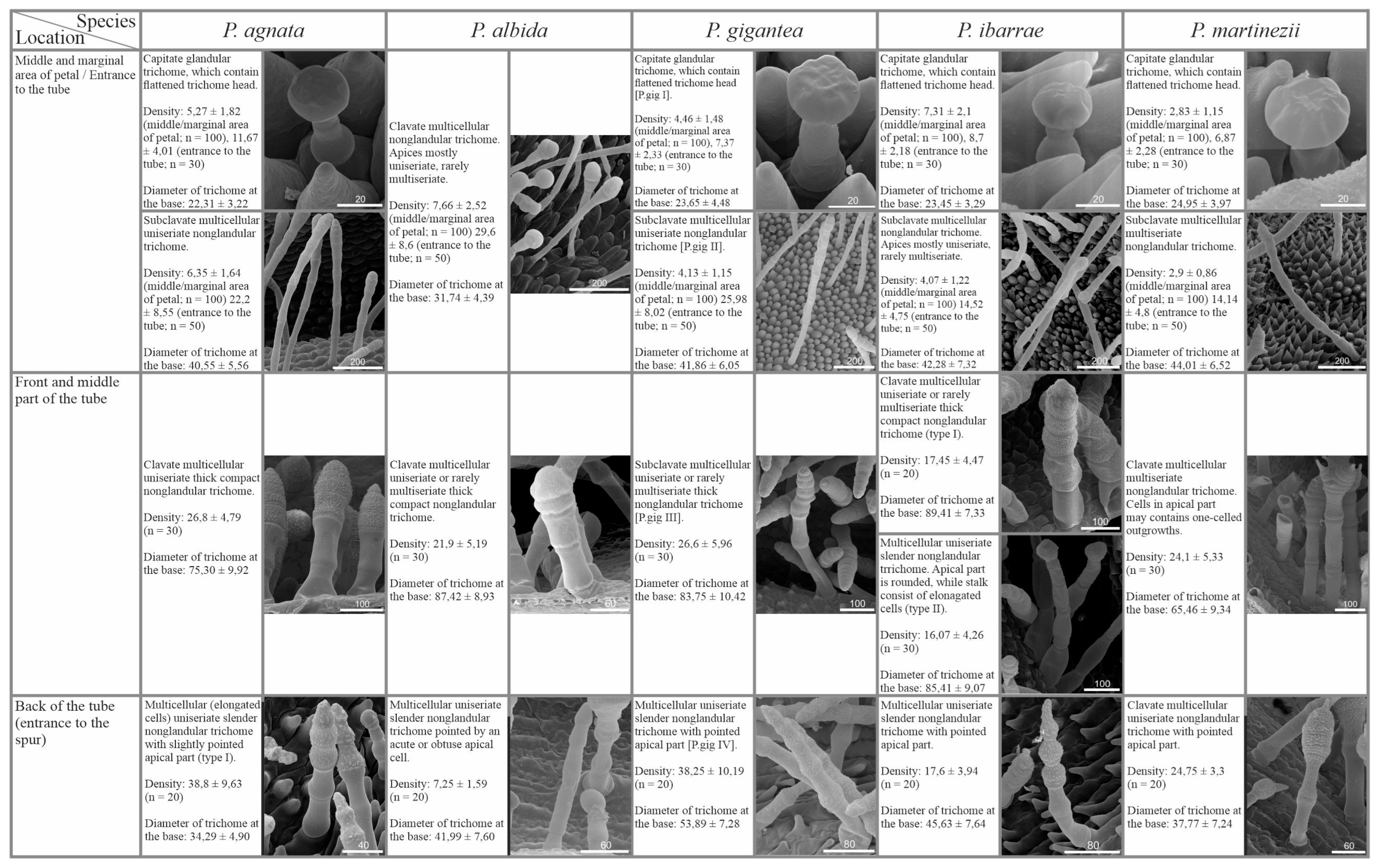 Ijms 24 08423 g004a Ijms 24 08423 g004a