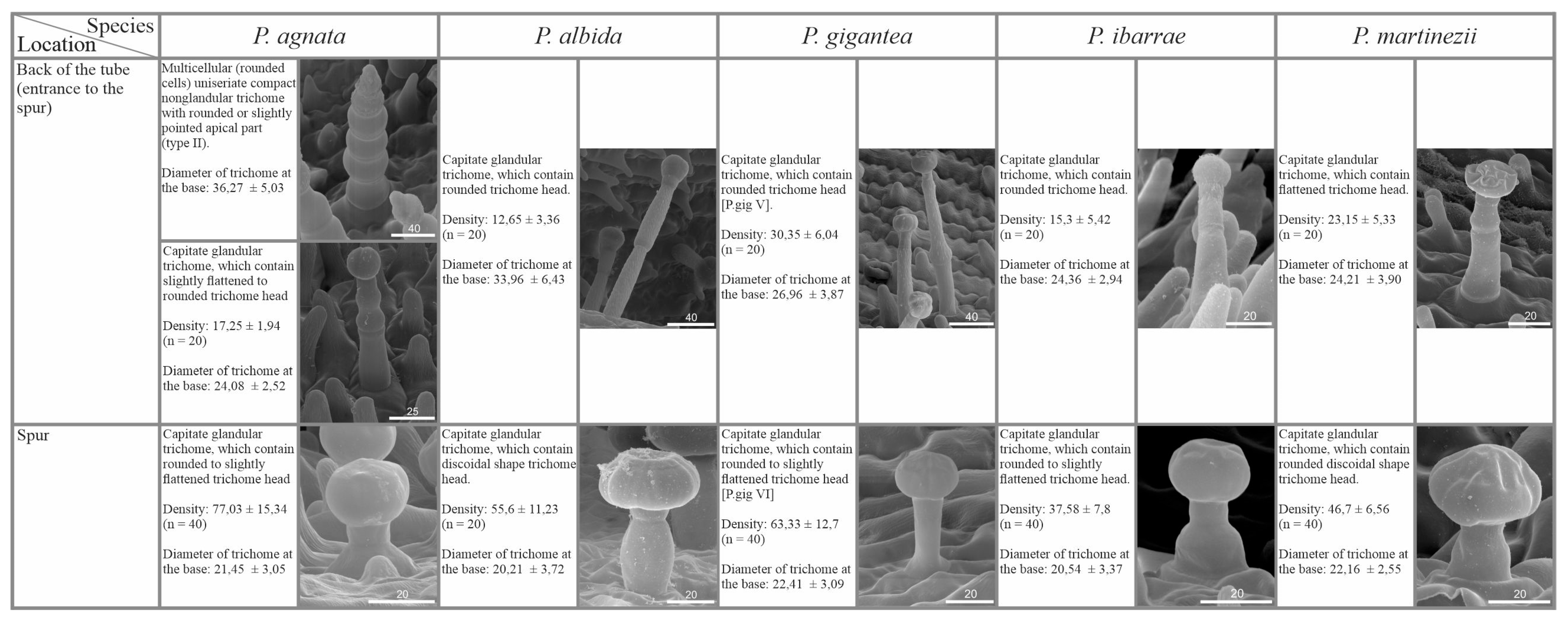 Ijms 24 08423 g004b Ijms 24 08423 g004b