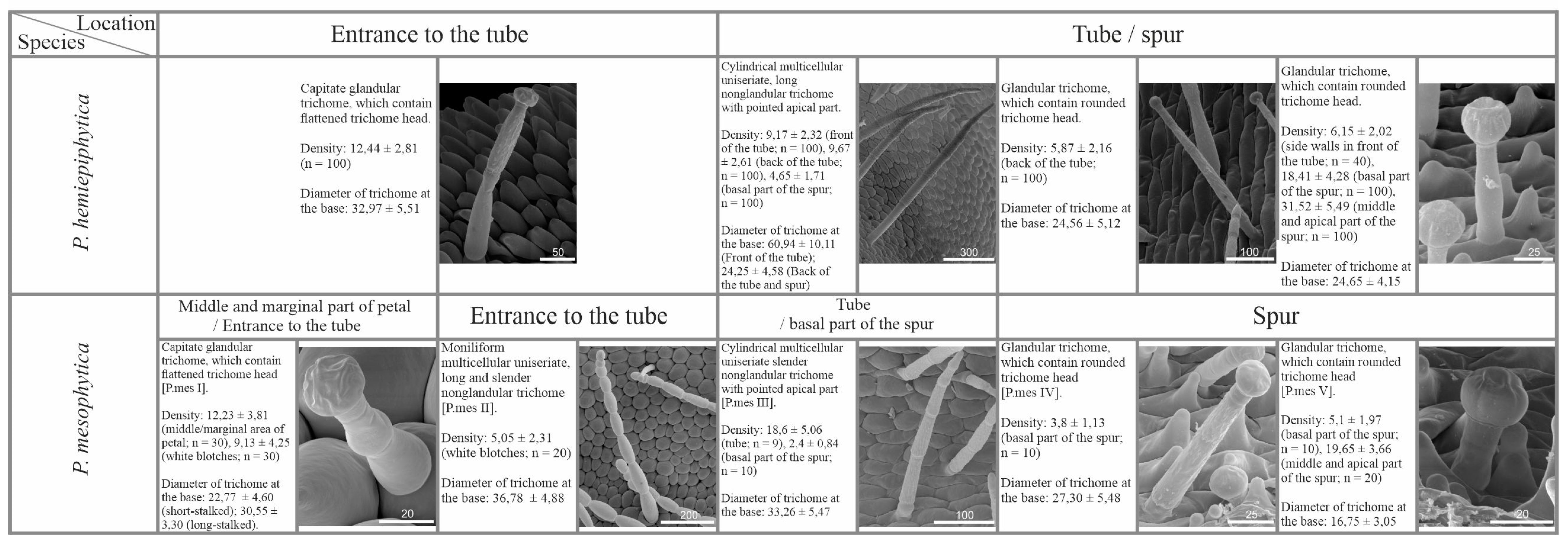 Ijms 24 08423 g006 Ijms 24 08423 g006