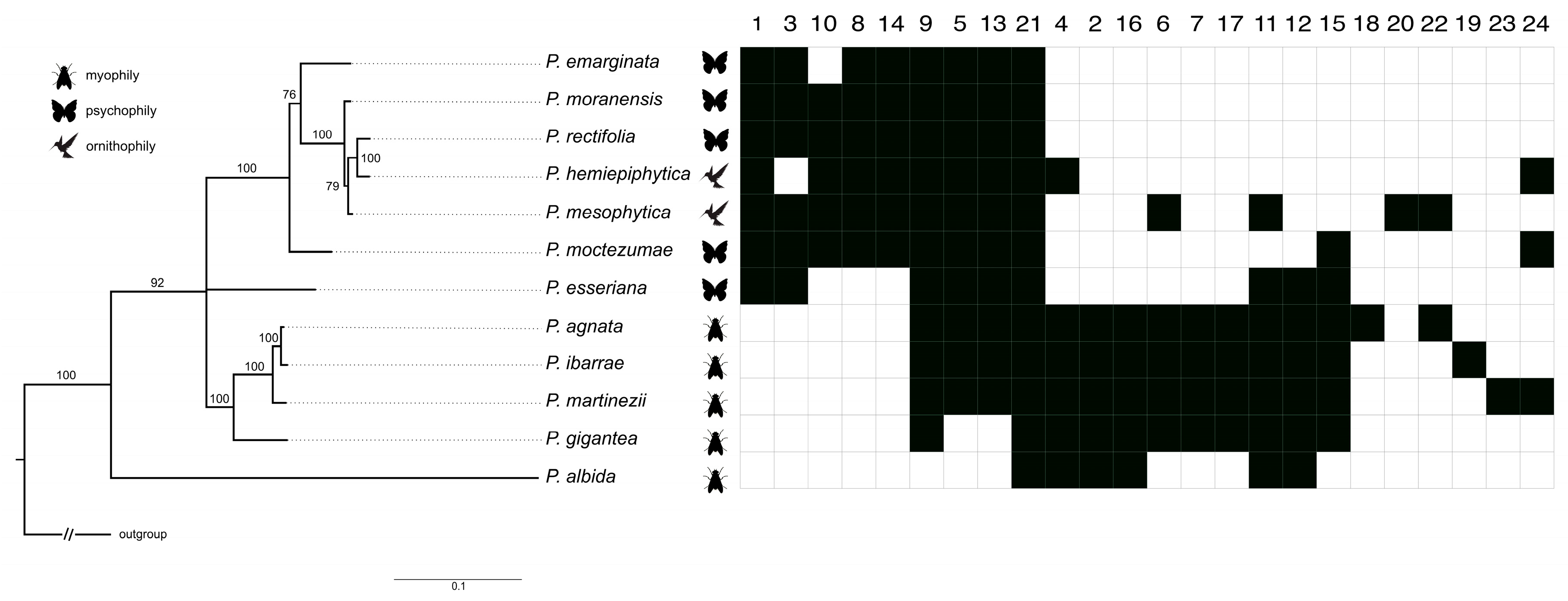 Ijms 24 08423 g007 Ijms 24 08423 g007