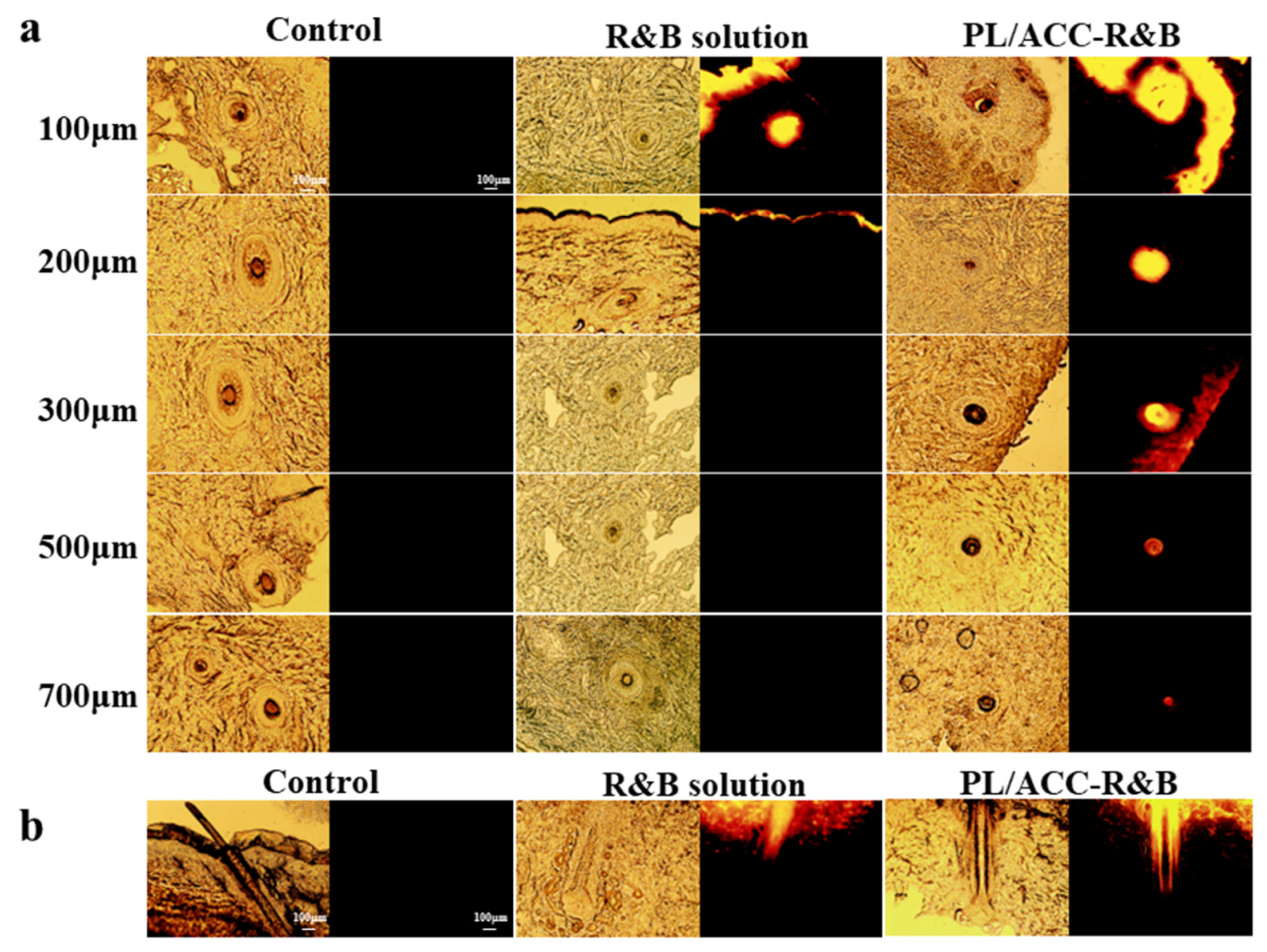 Ijms 24 08427 g003 Ijms 24 08427 g003