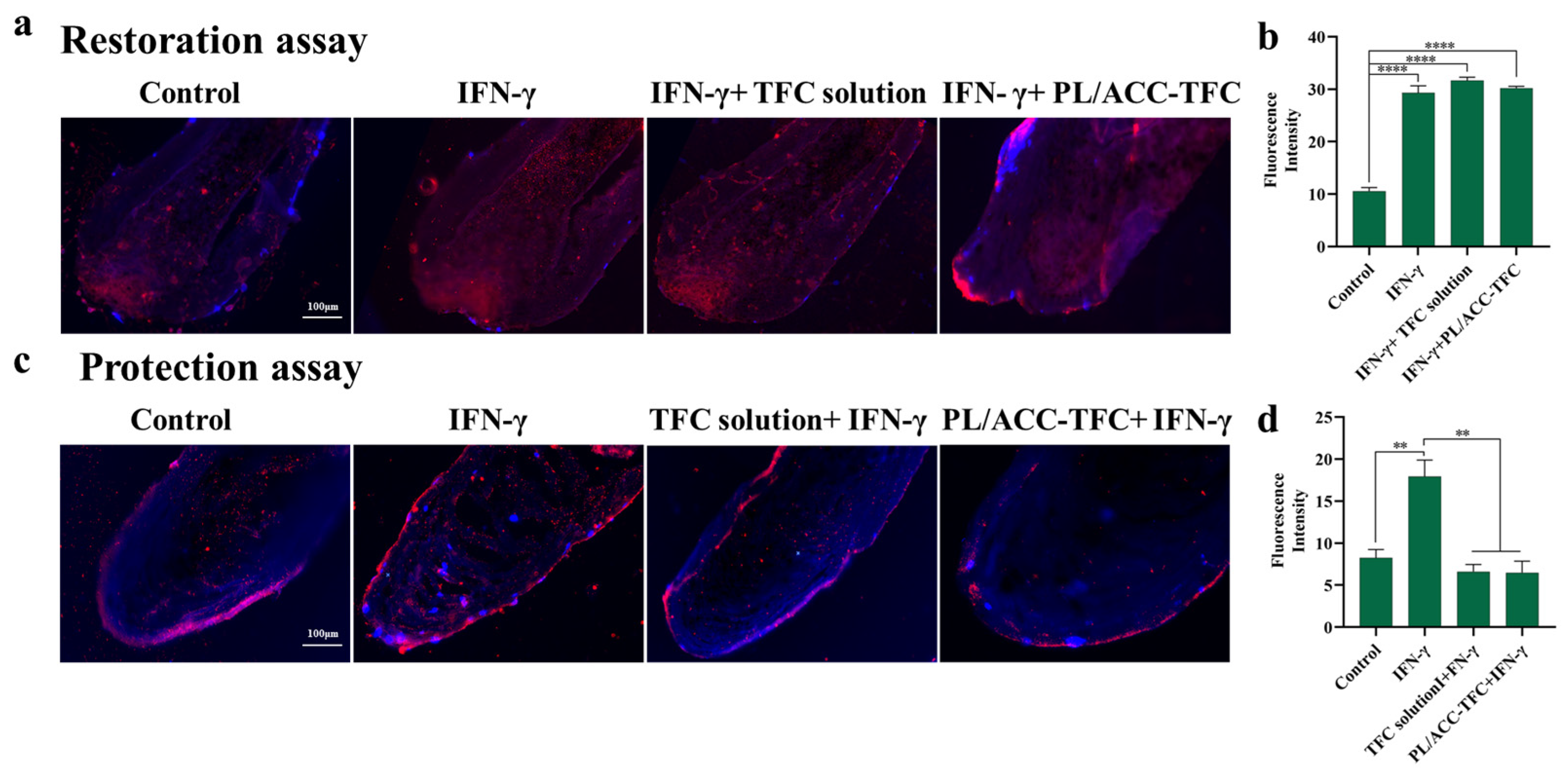 Ijms 24 08427 g005 Ijms 24 08427 g005